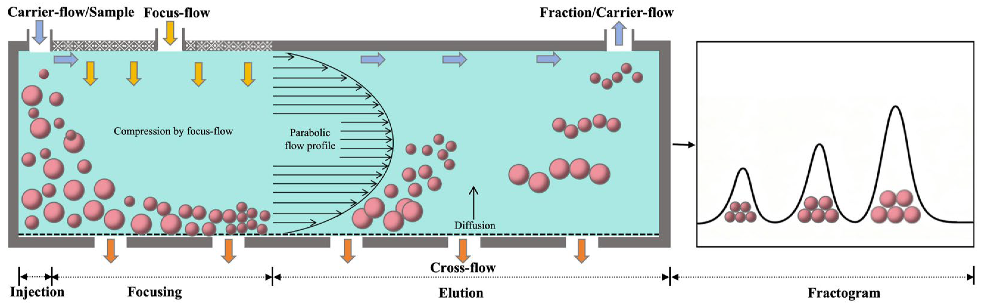 Biomolecules 16 00382 g004 Biomolecules 16 00382 g004