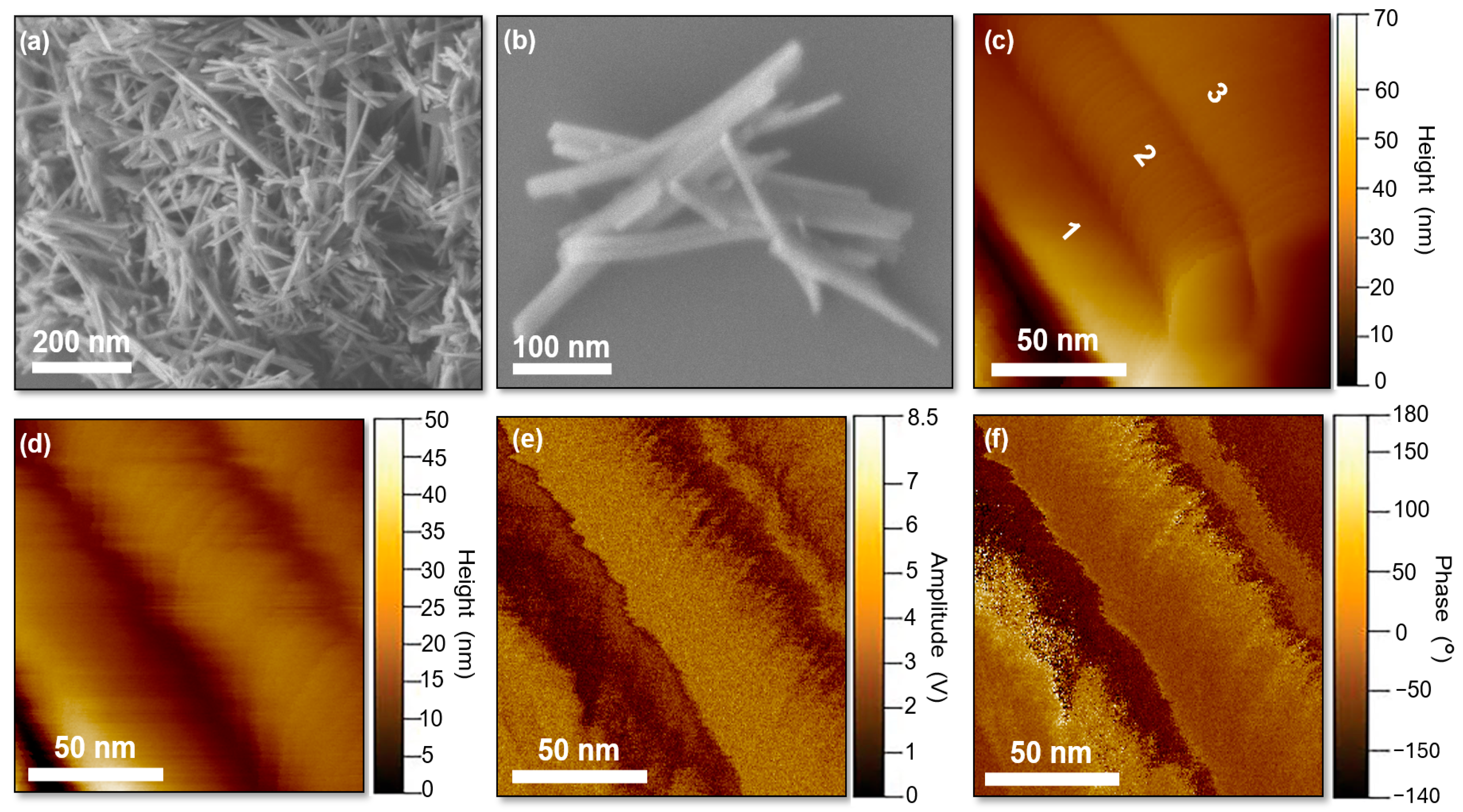 Biomolecules 16 00385 g010 Biomolecules 16 00385 g010