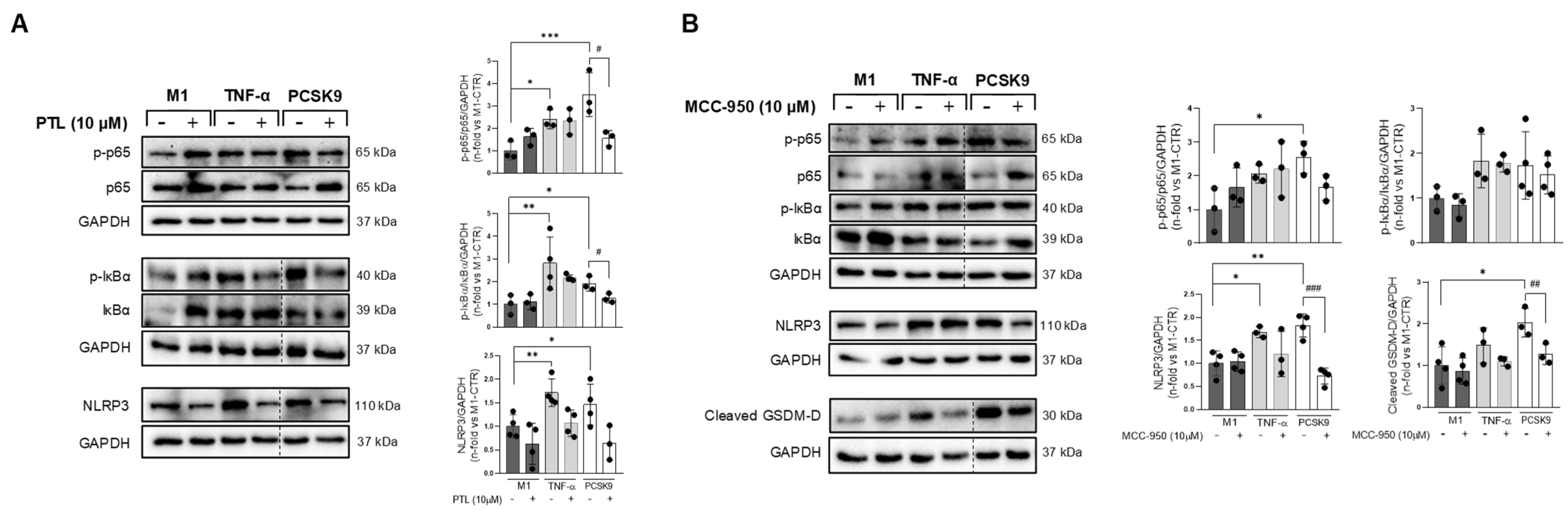 Biomolecules 16 00397 g006 Biomolecules 16 00397 g006