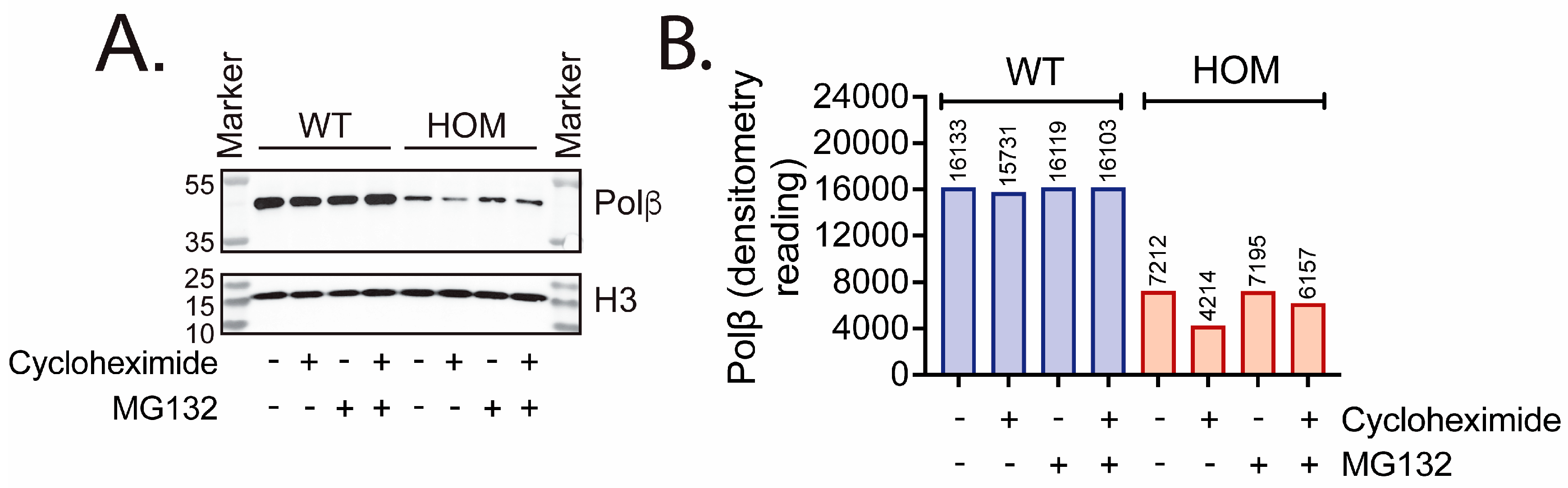 Biomolecules 16 00412 g005