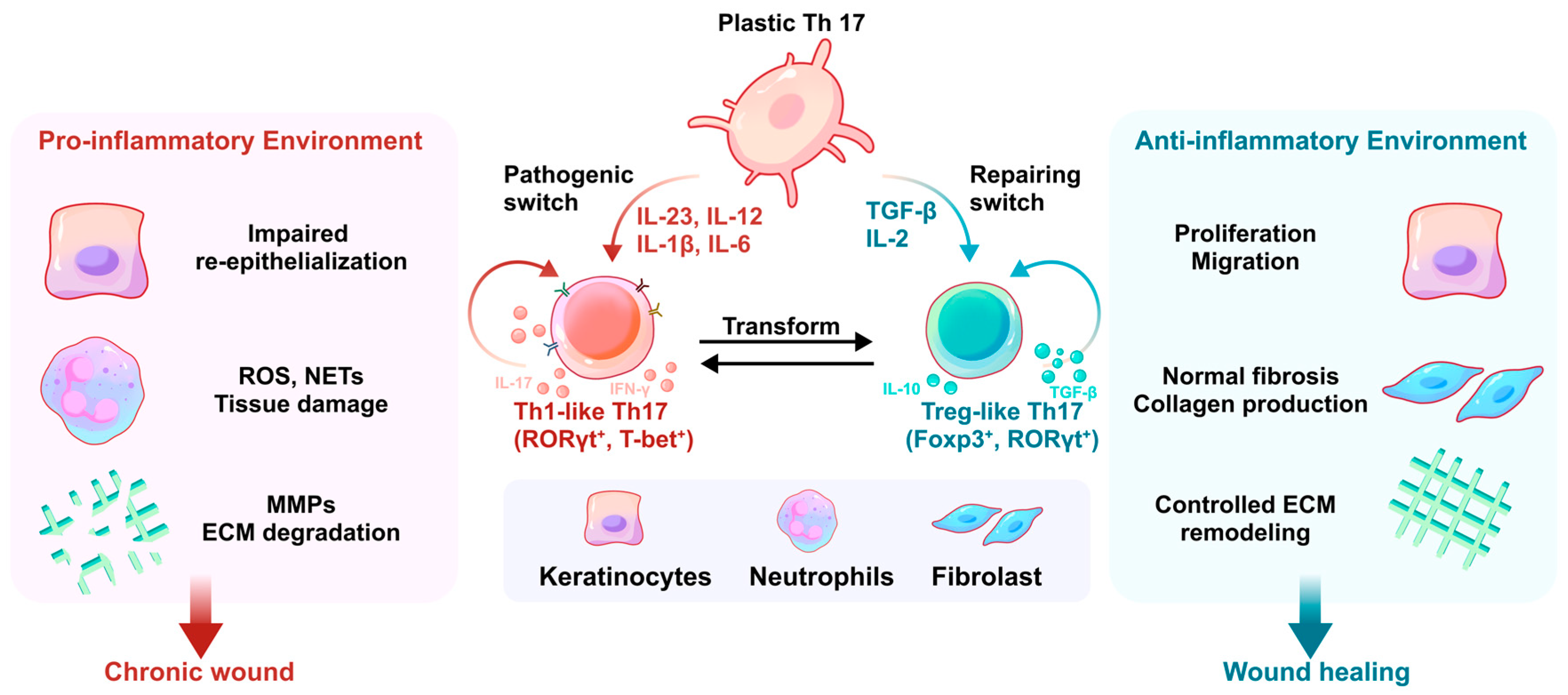 Biomolecules 16 00414 g004 Biomolecules 16 00414 g004