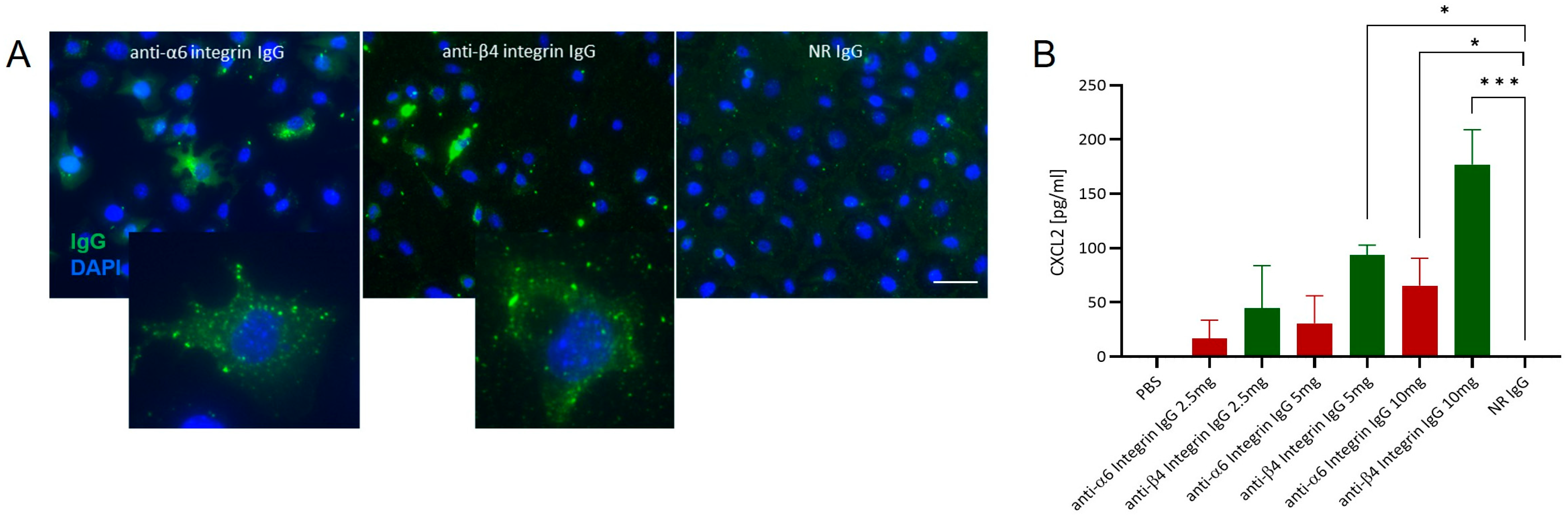 Biomolecules 16 00417 g002 Biomolecules 16 00417 g002