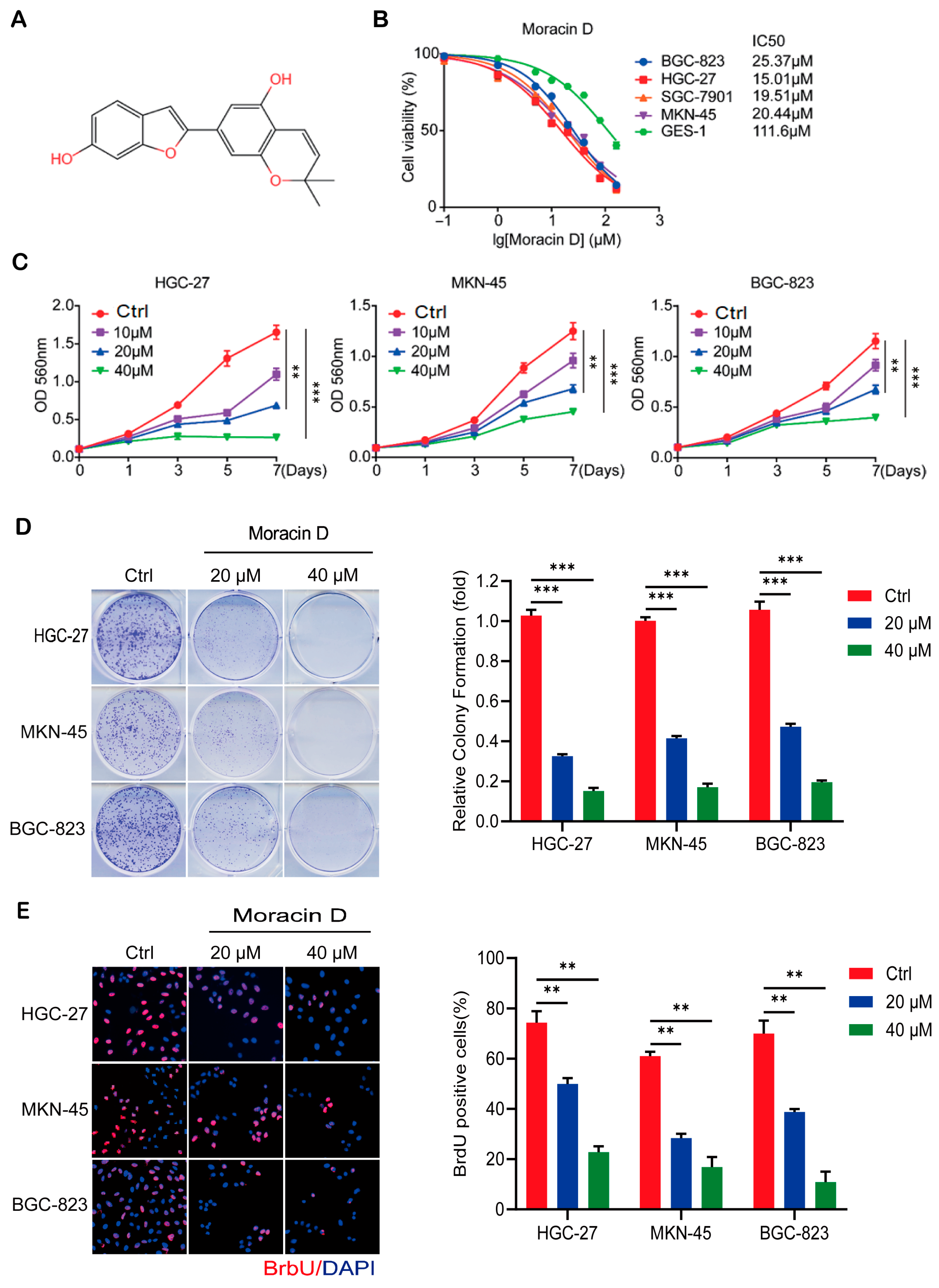 Biomolecules 16 00428 g001 Biomolecules 16 00428 g001