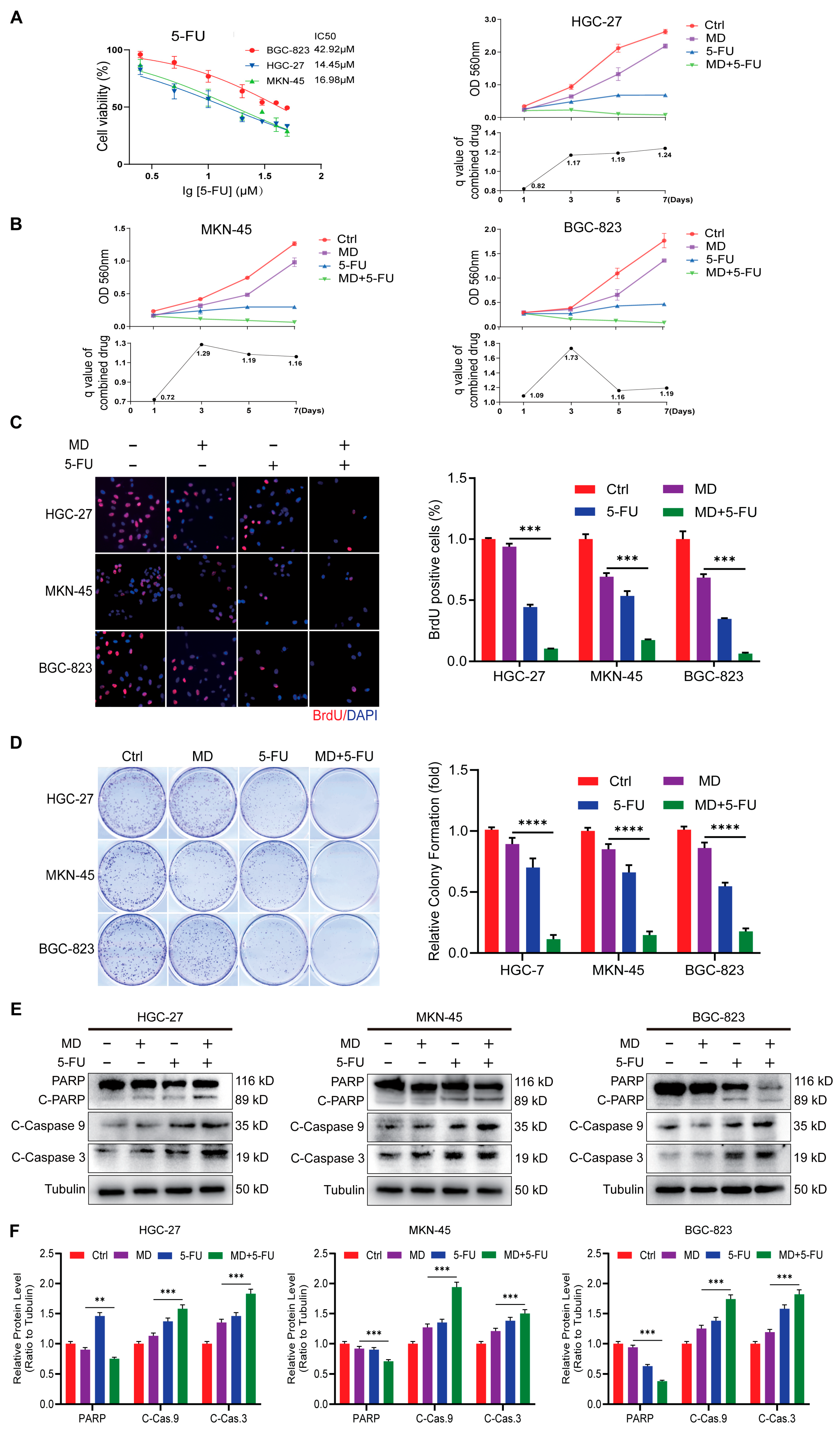 Biomolecules 16 00428 g007 Biomolecules 16 00428 g007