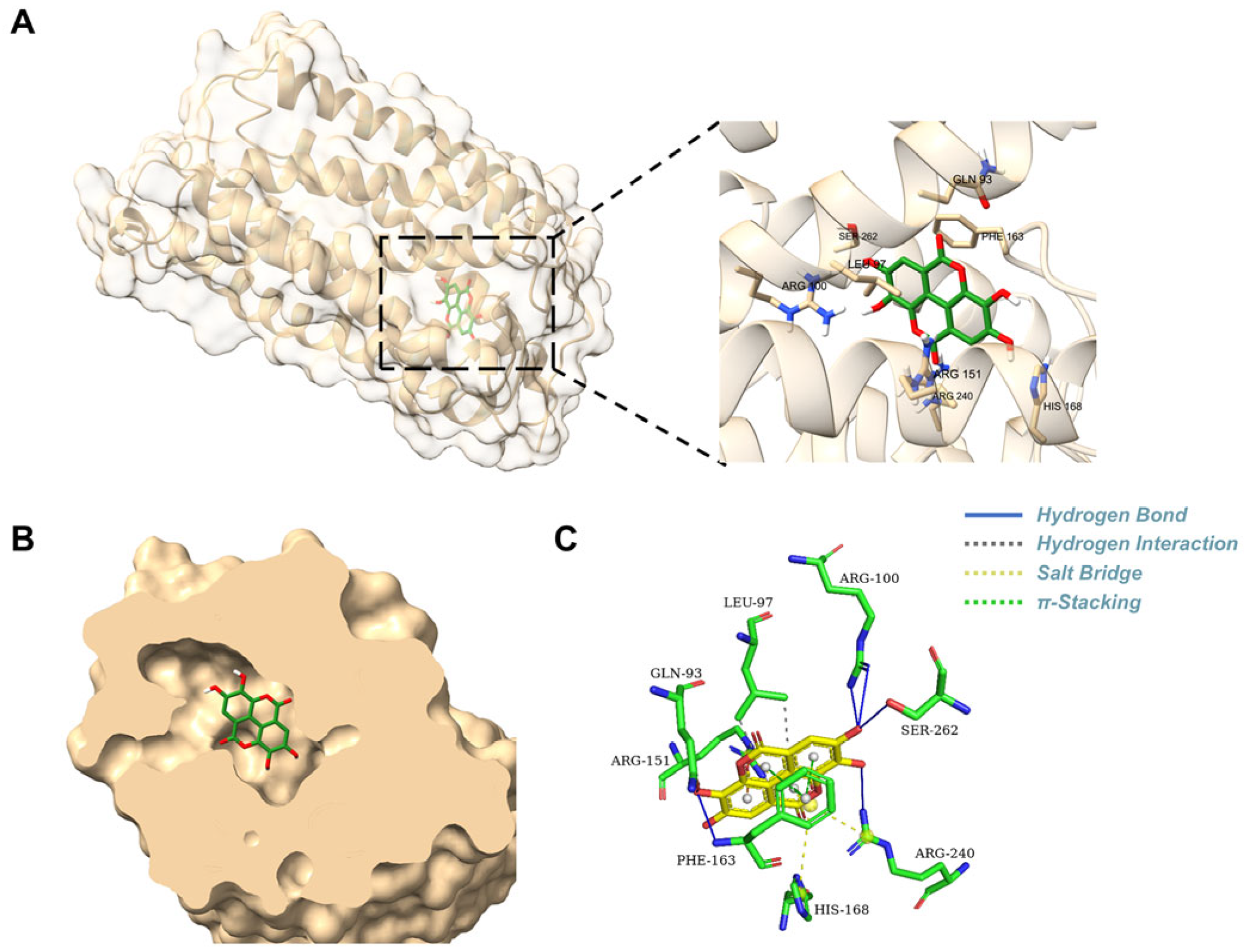 Biomolecules 16 00434 g002