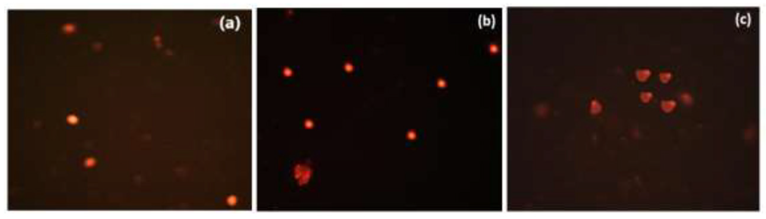 Biomolecules 16 00438 g008 Biomolecules 16 00438 g008