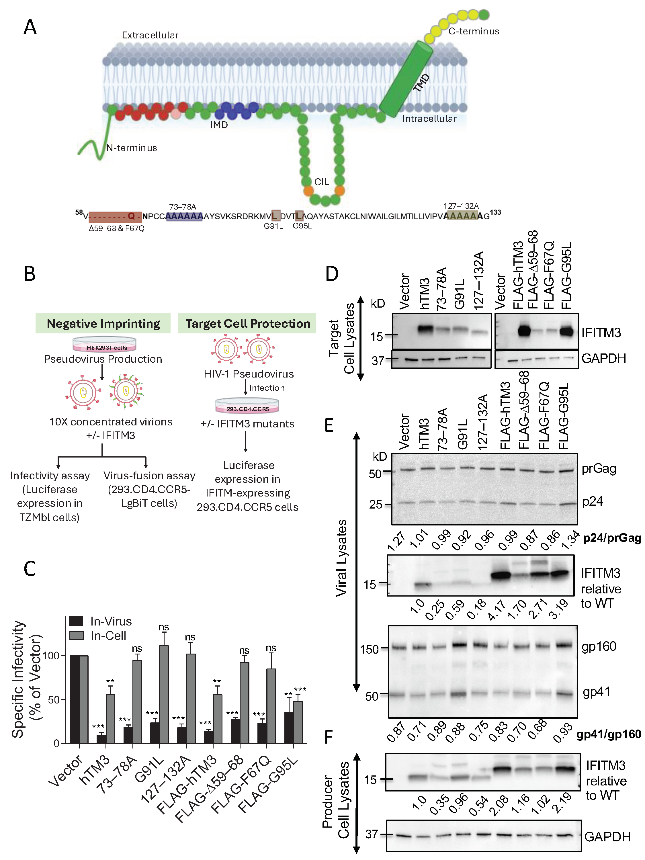 Biomolecules 16 00459 g001 Biomolecules 16 00459 g001