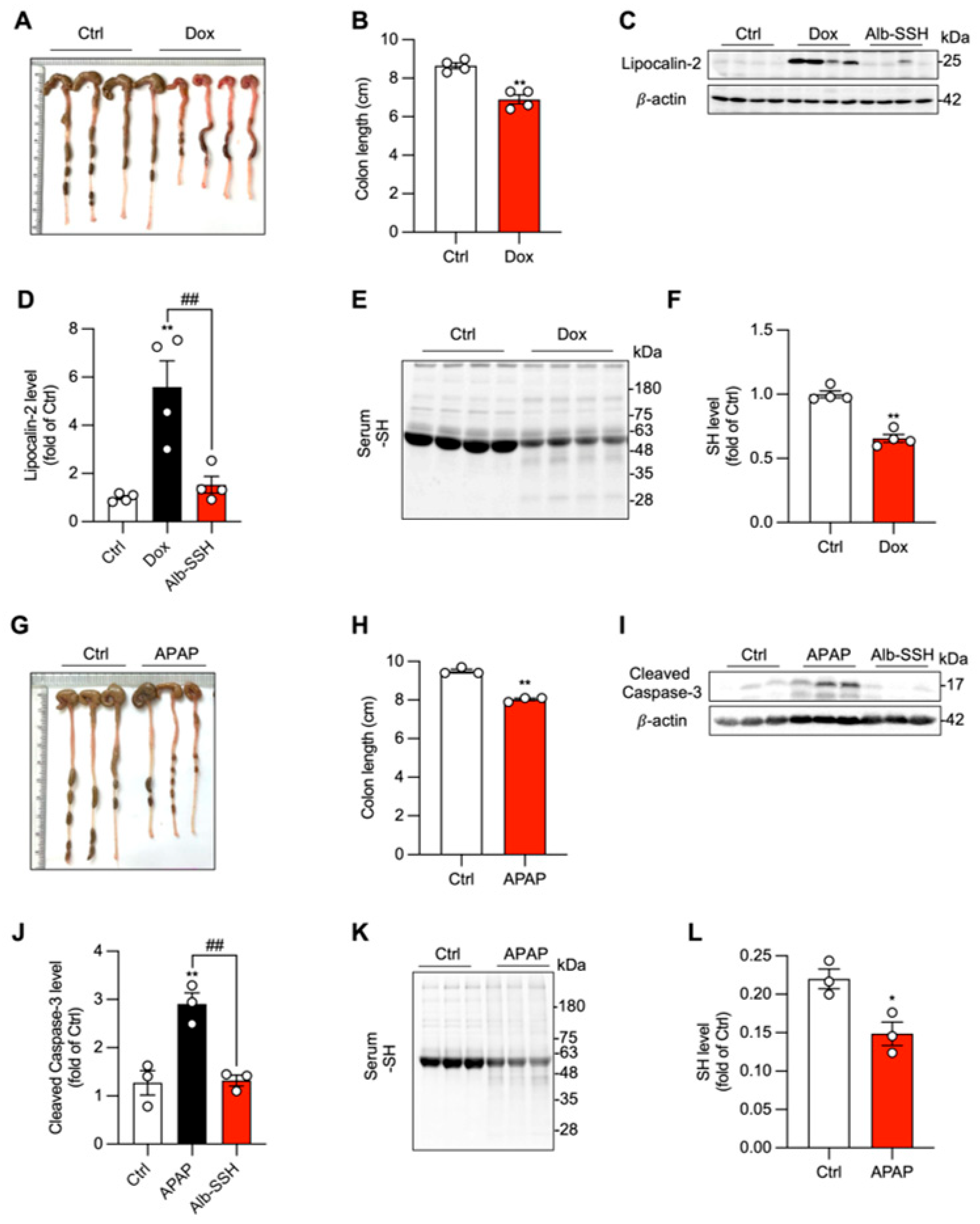 Biomolecules 16 00462 g001 Biomolecules 16 00462 g001