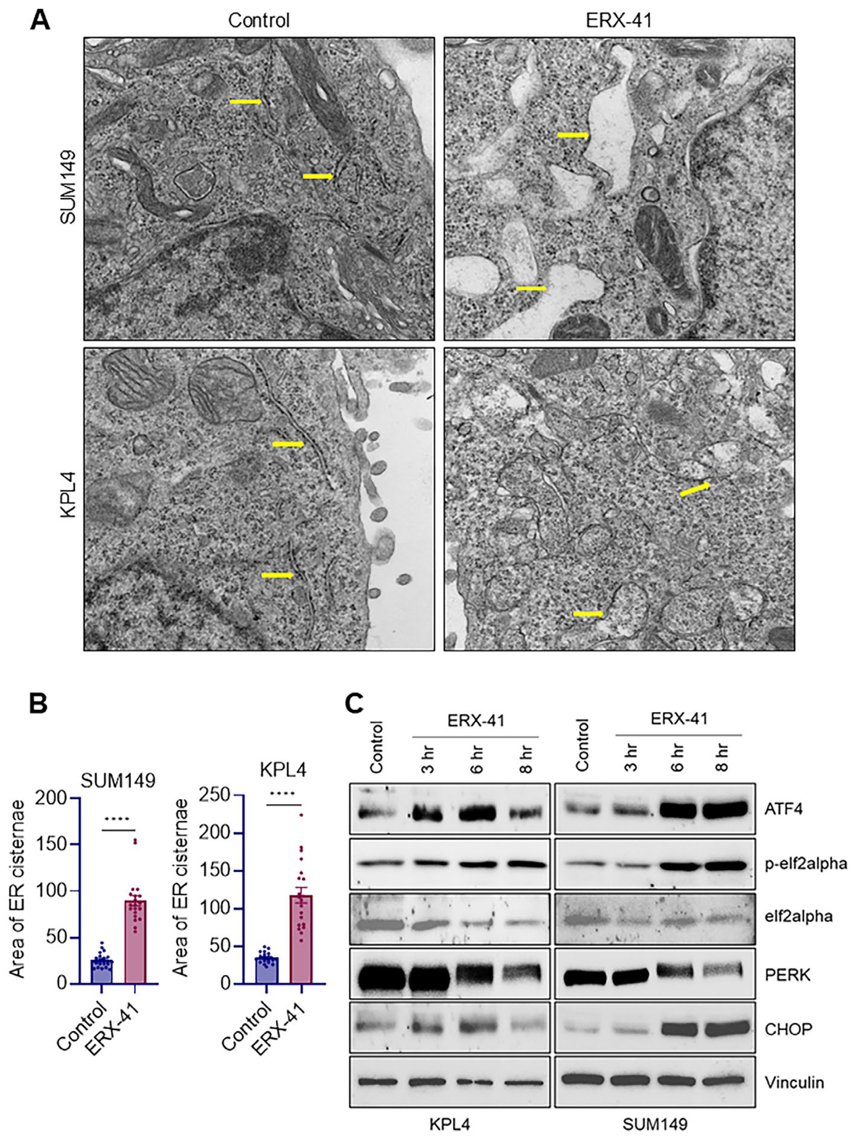 Biomolecules 16 00481 g003 Biomolecules 16 00481 g003