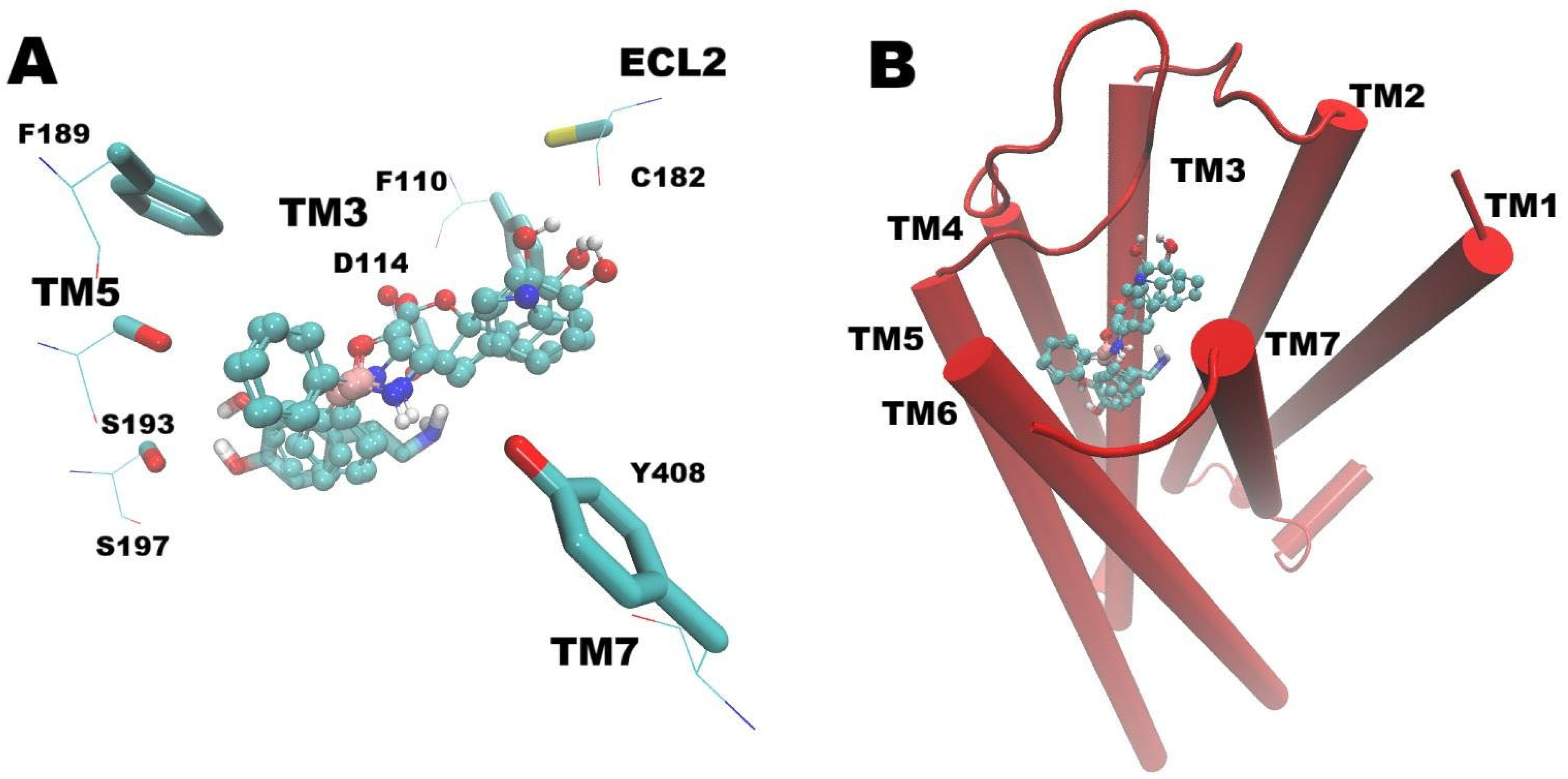 Biomolecules 16 00494 g006