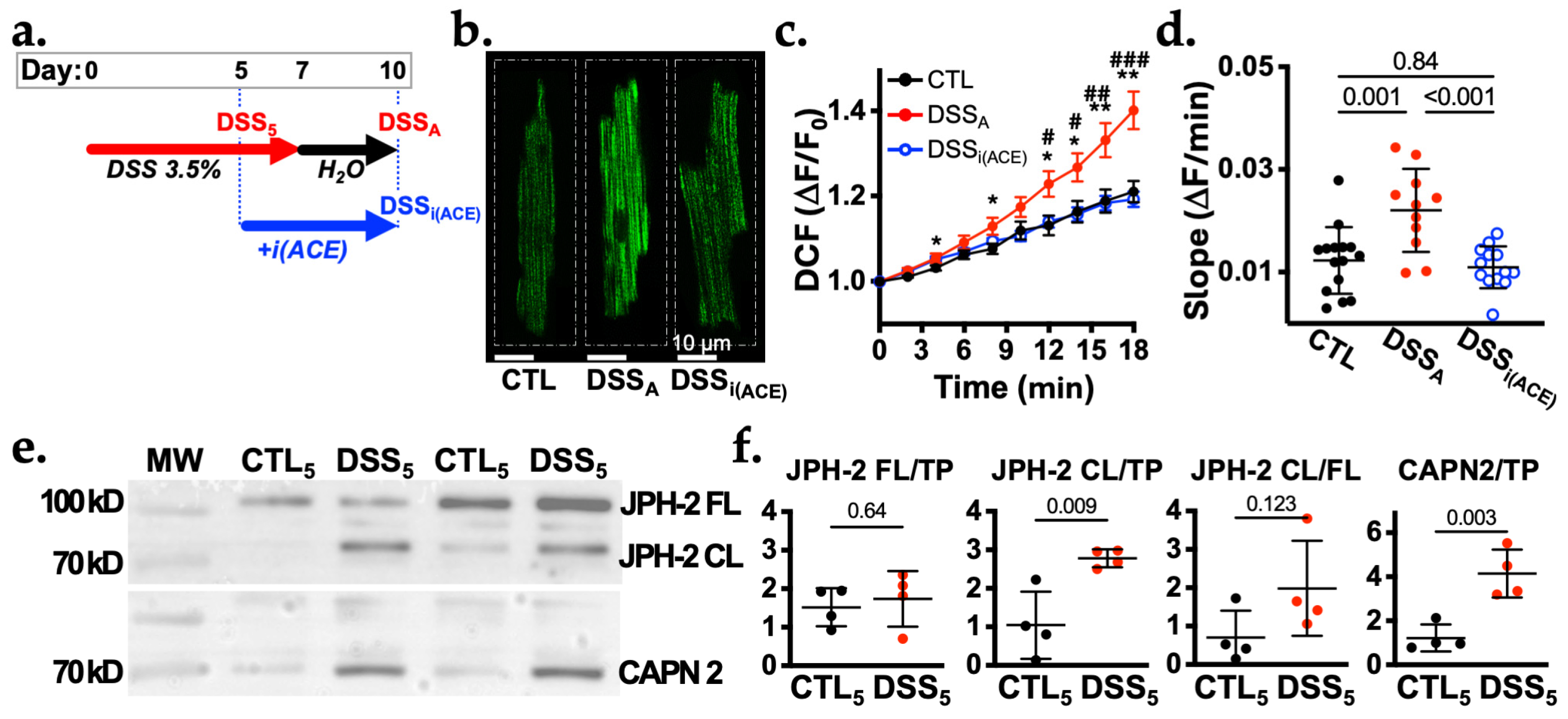 Biomolecules 16 00503 g004 Biomolecules 16 00503 g004