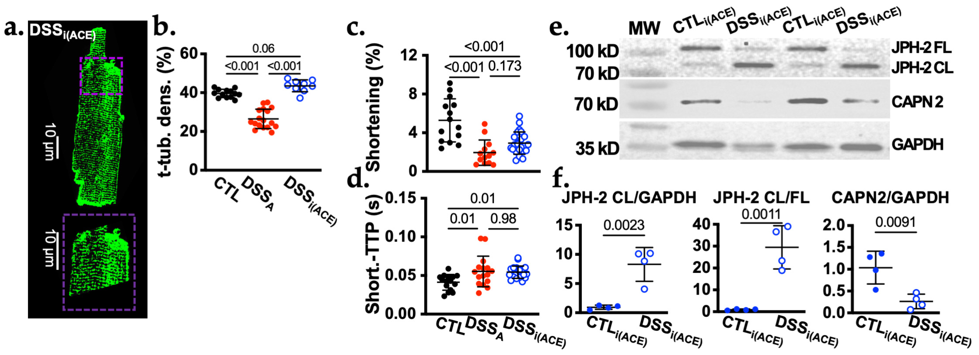 Biomolecules 16 00503 g005 Biomolecules 16 00503 g005