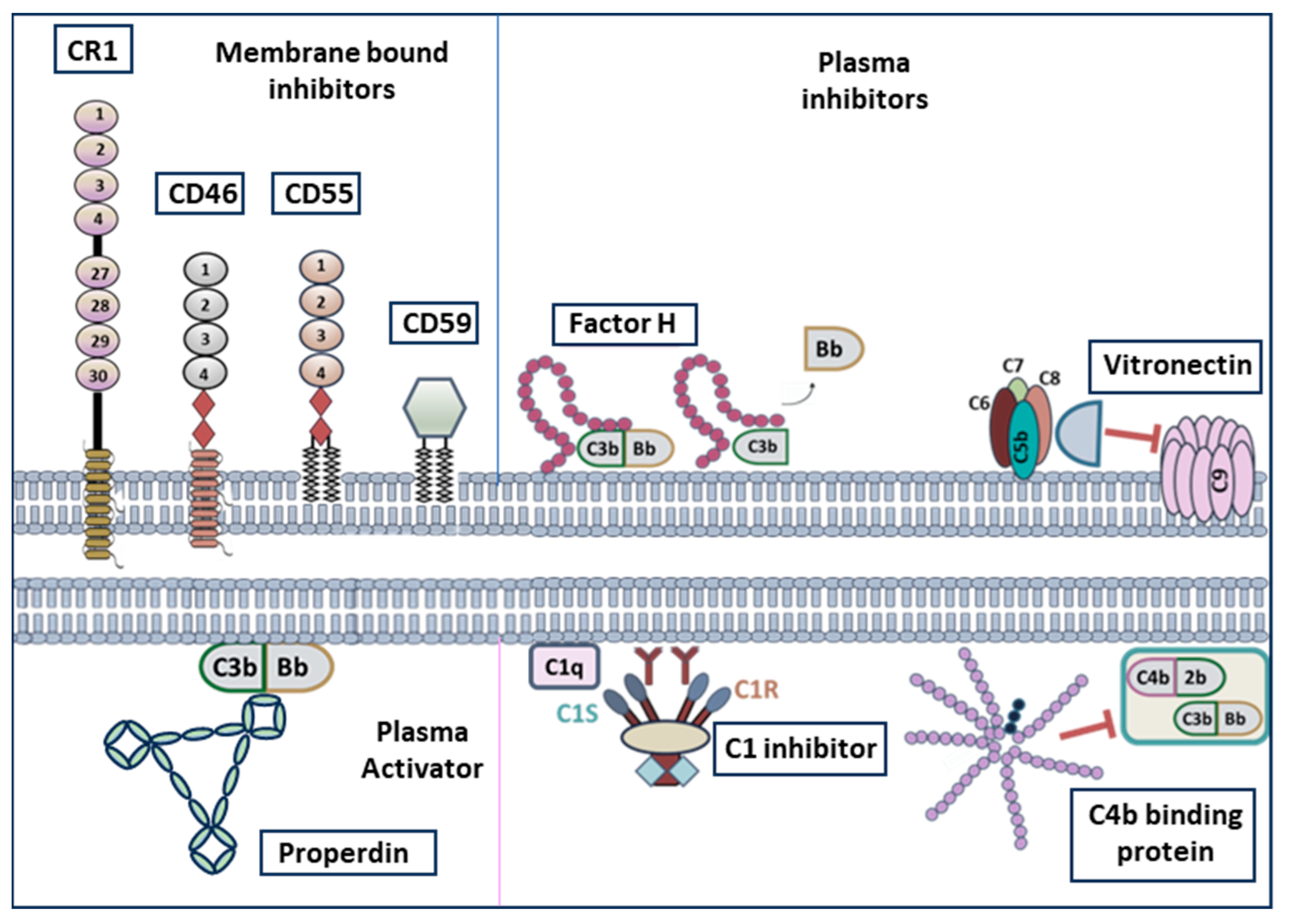 Biomolecules 16 00505 g002 Biomolecules 16 00505 g002