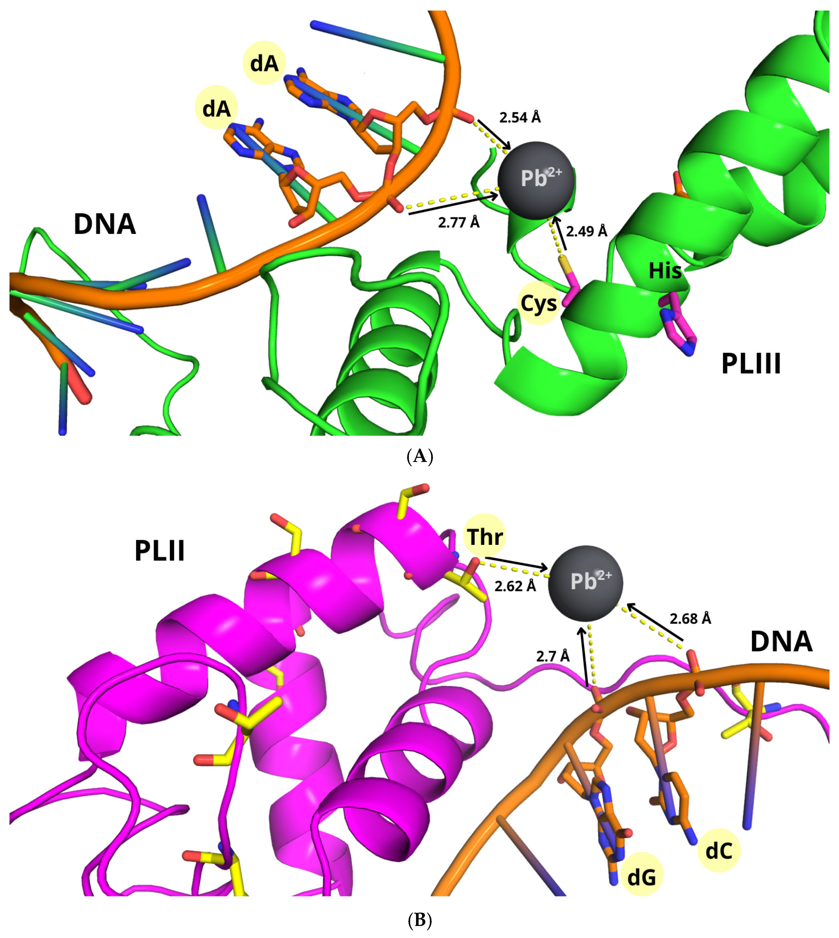 Biomolecules 16 00529 g010 Biomolecules 16 00529 g010