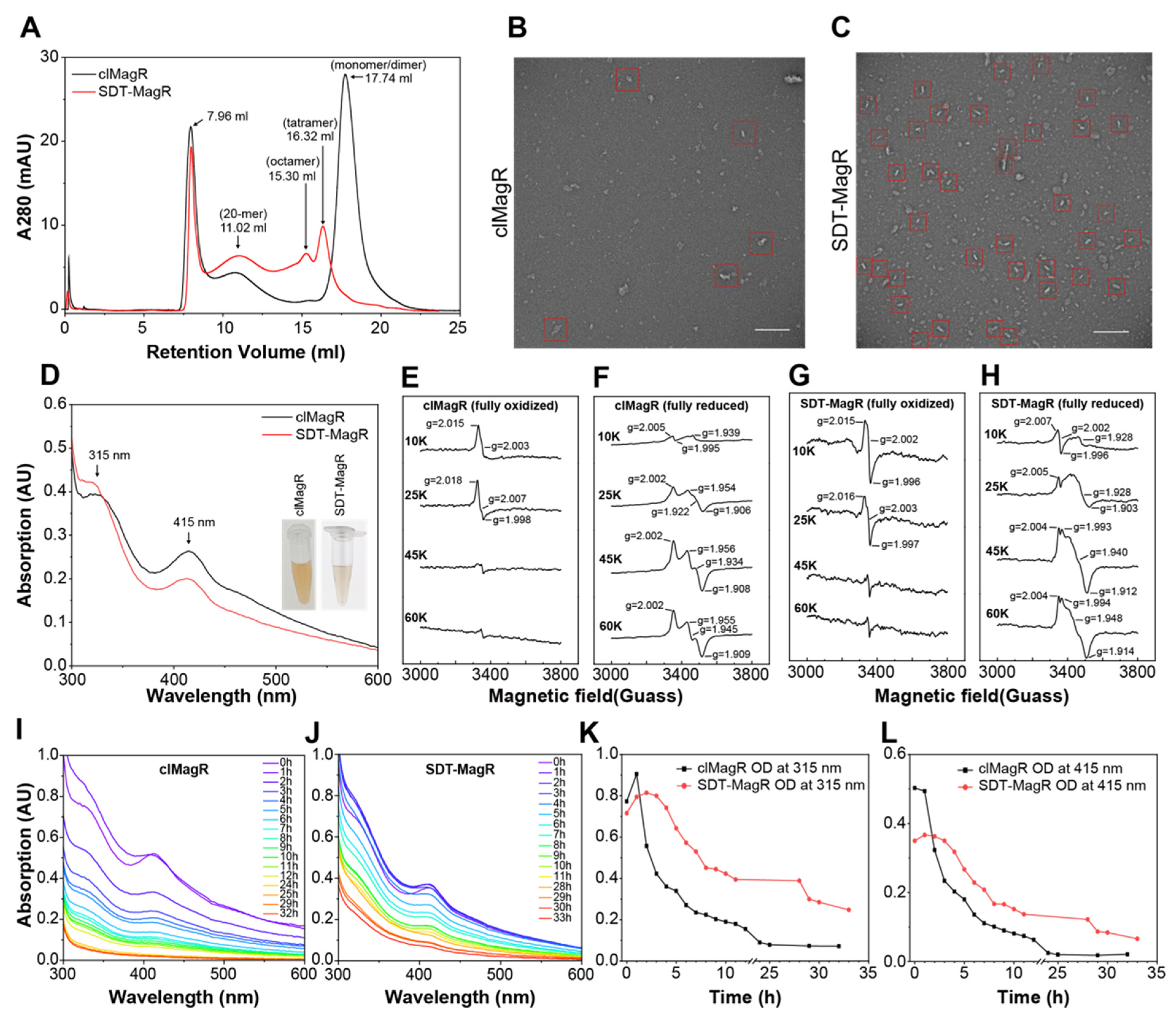 Biomolecules 16 00537 g002