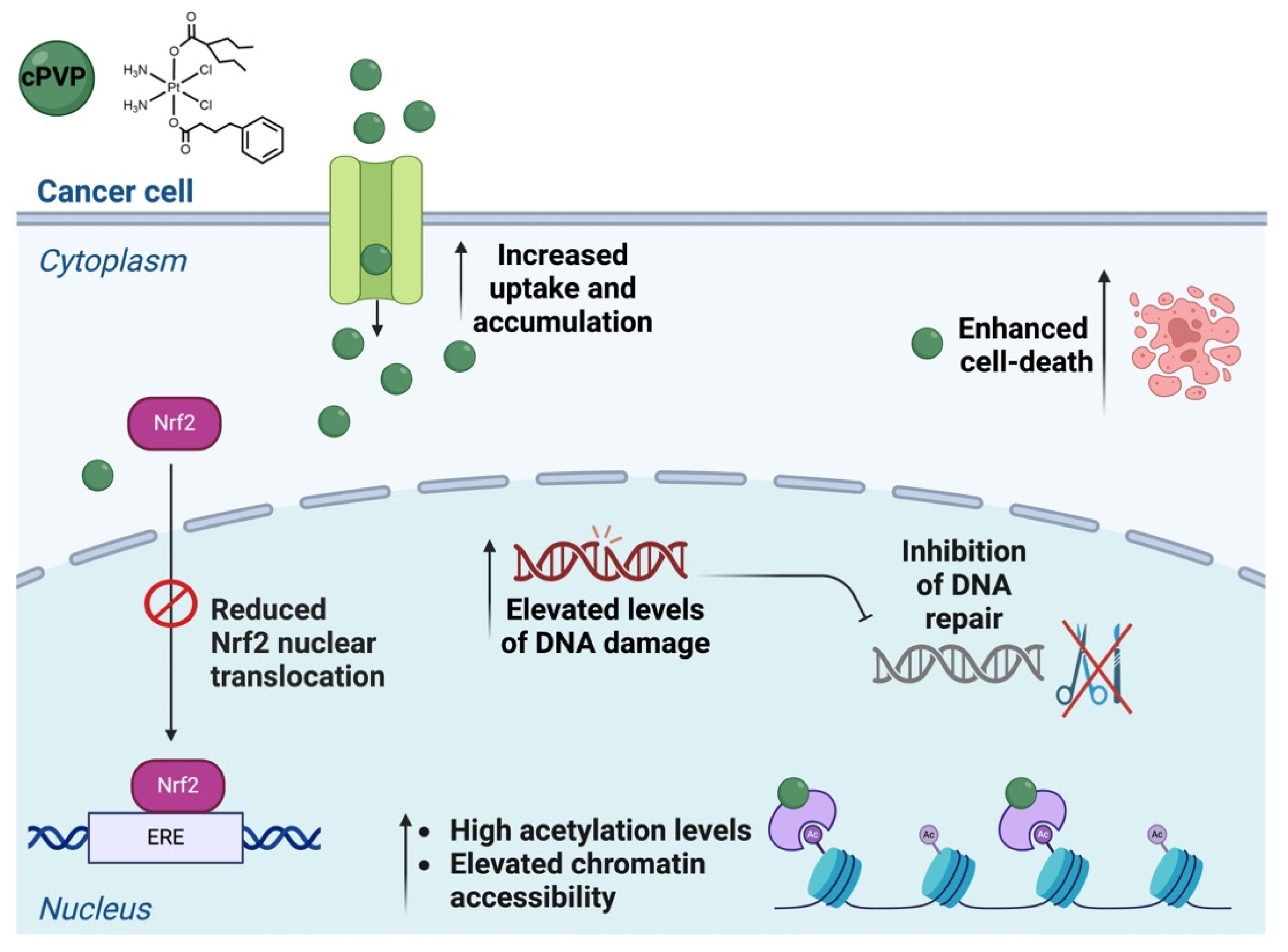 Biomolecules 16 00542 g008