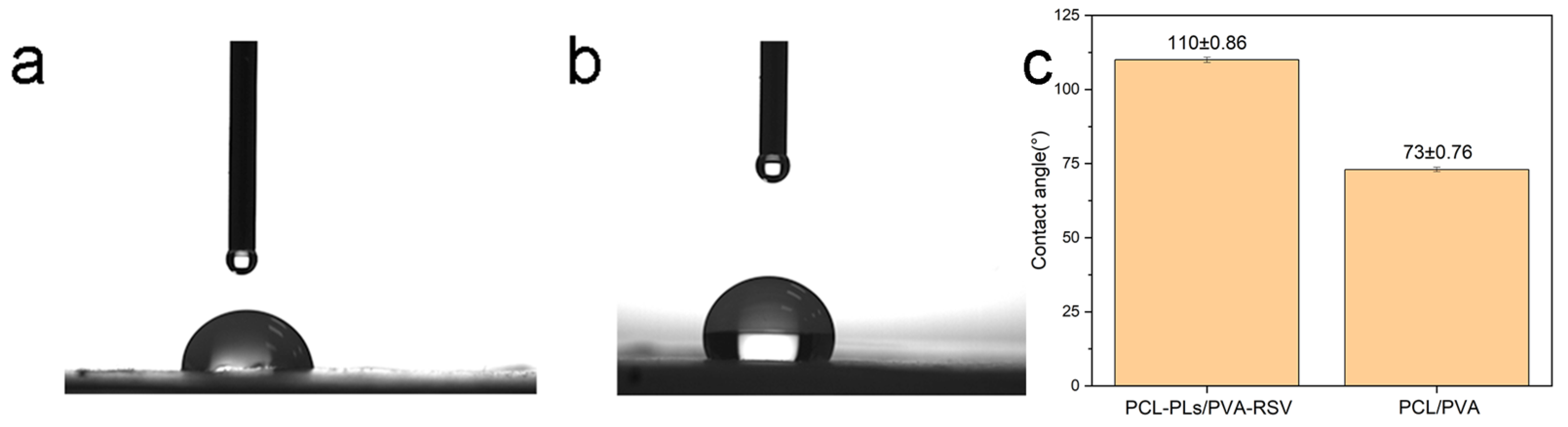 Biomolecules 16 00554 g006
