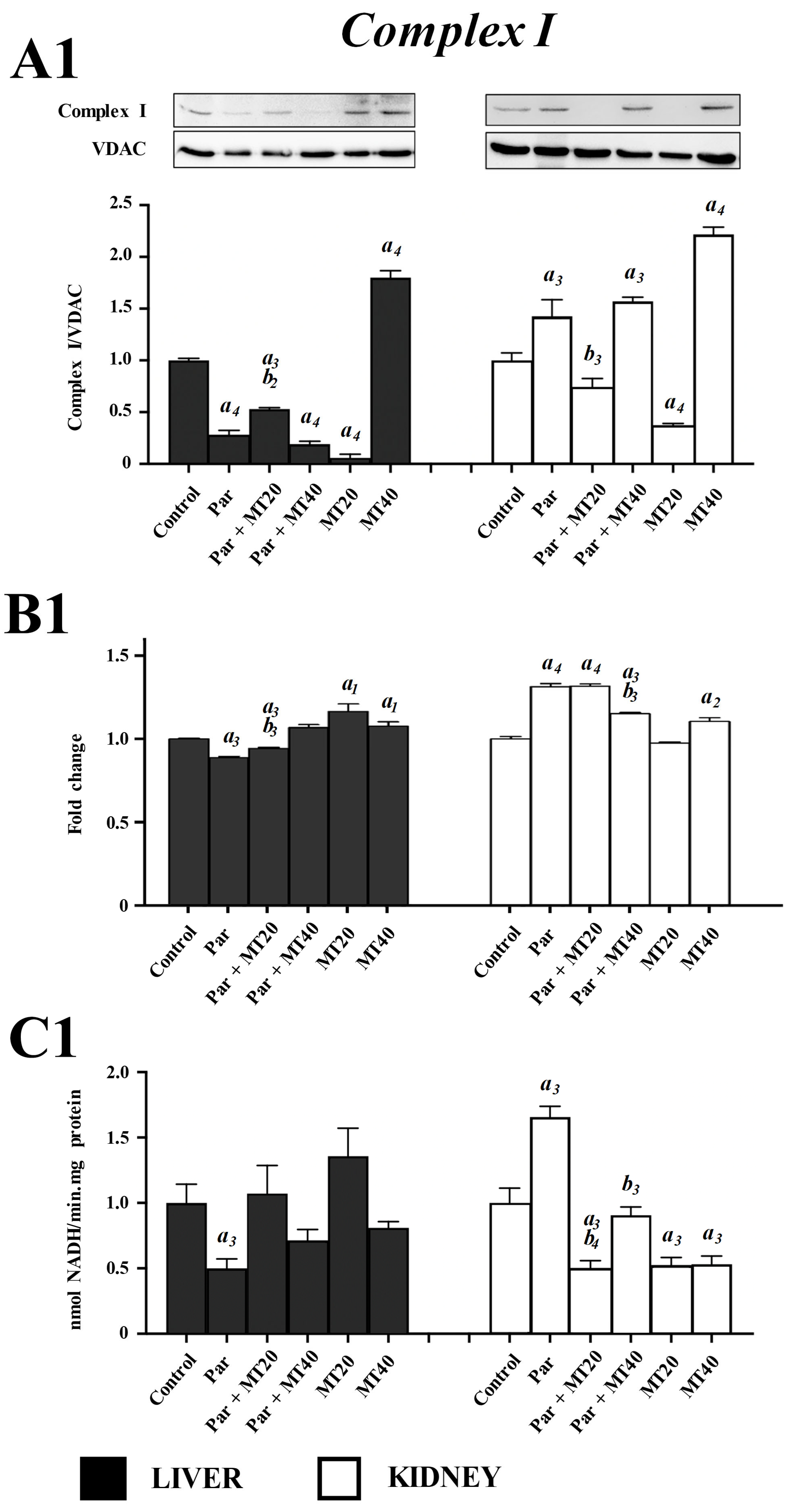 Biomolecules 16 00556 g004a