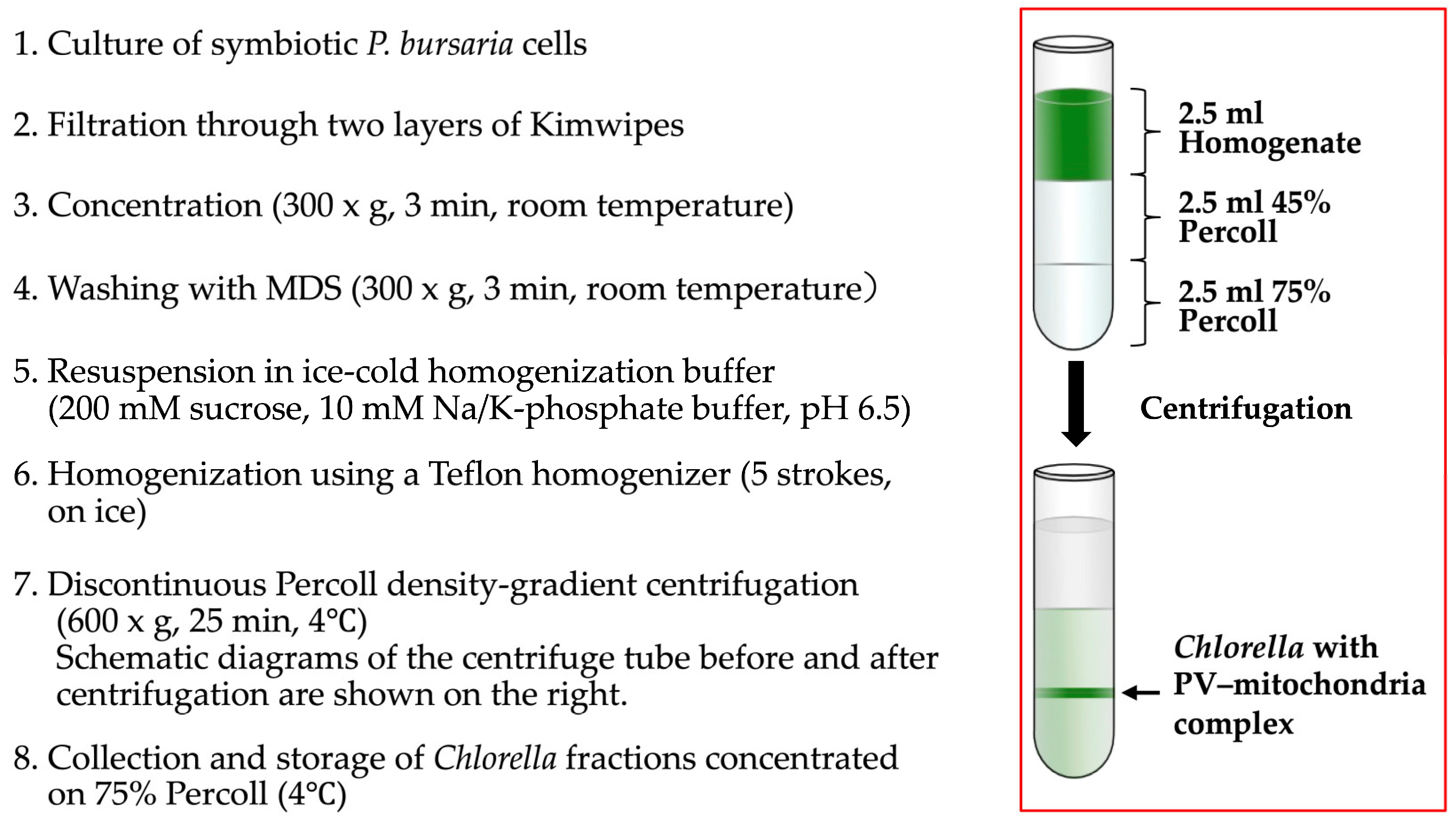 Biomolecules 16 00561 g003 Biomolecules 16 00561 g003