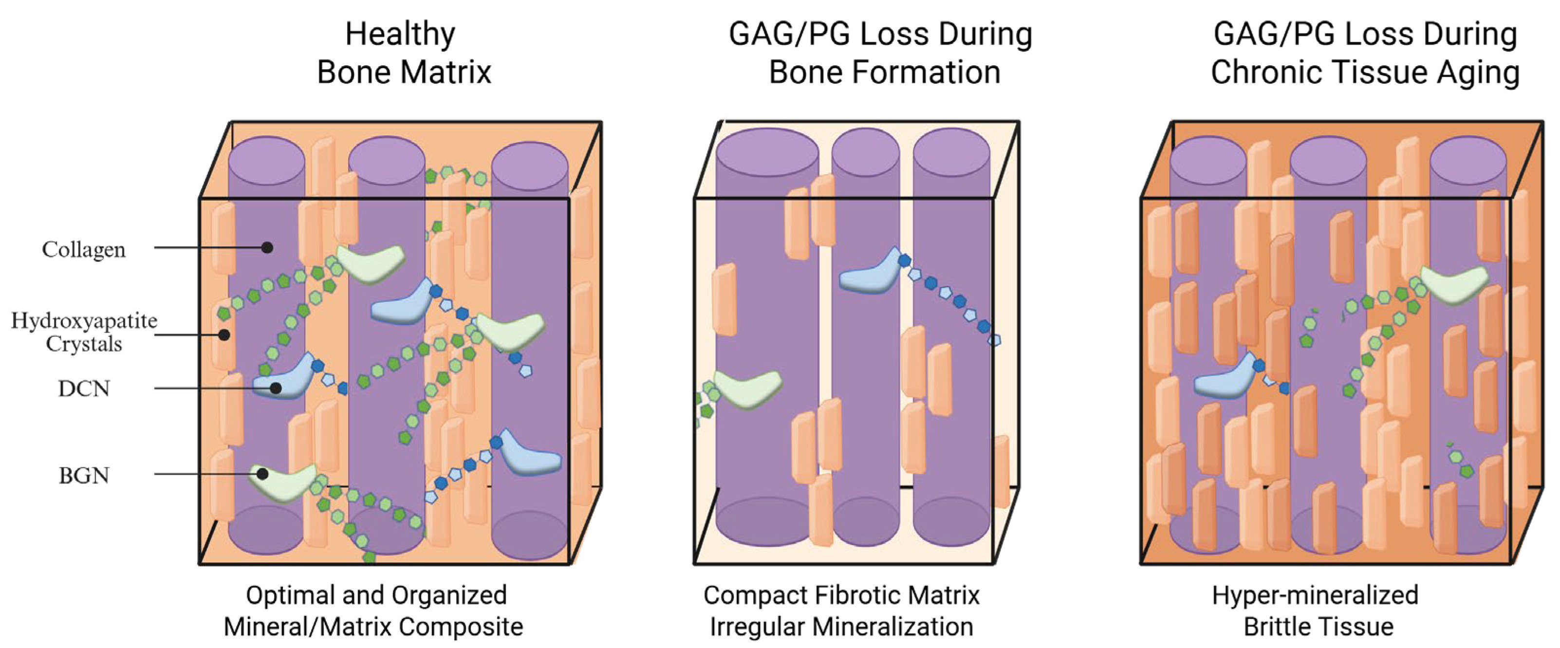 Biomolecules 16 00572 g005 Biomolecules 16 00572 g005