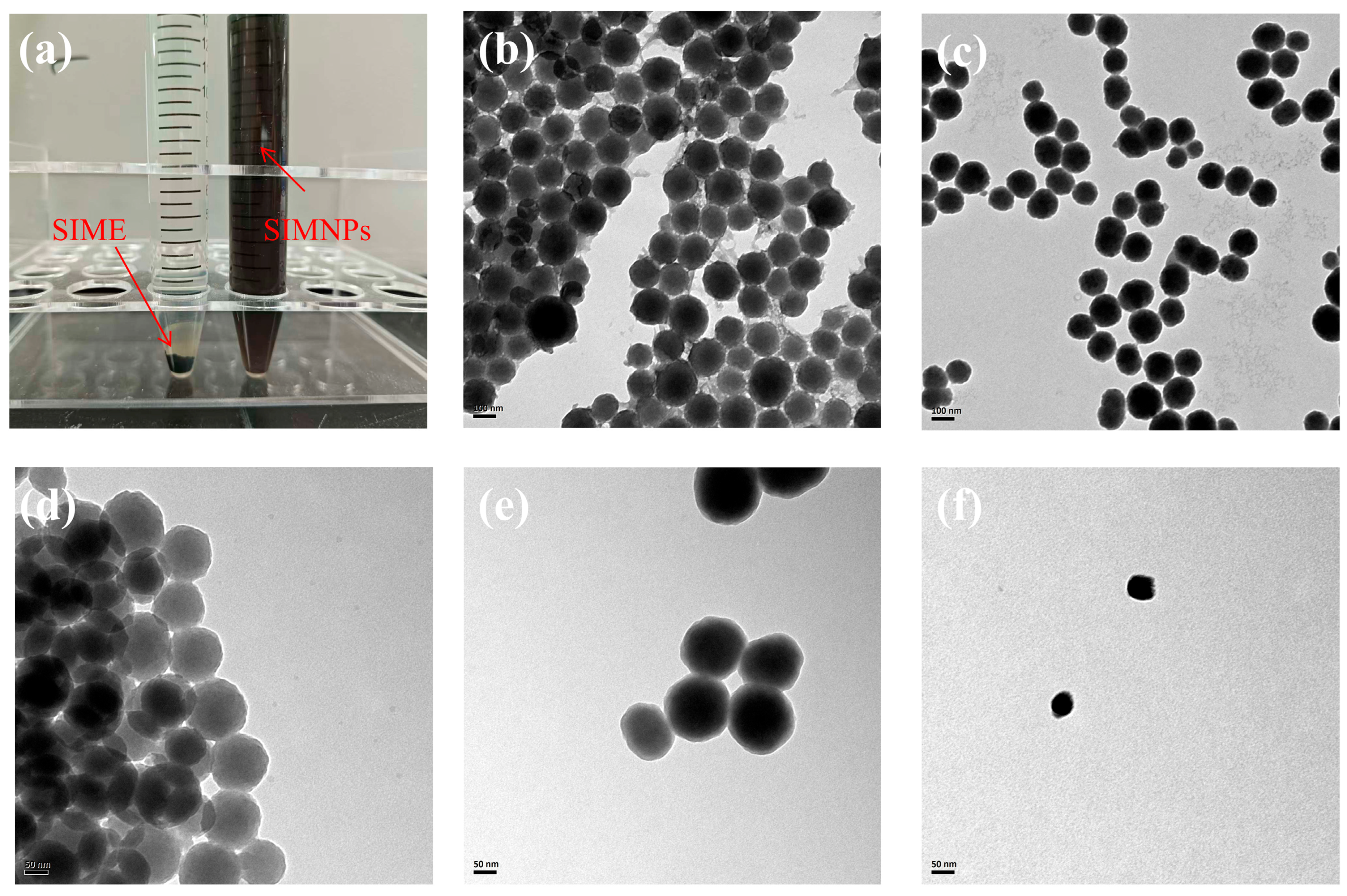 Biomolecules 16 00573 g001 Biomolecules 16 00573 g001