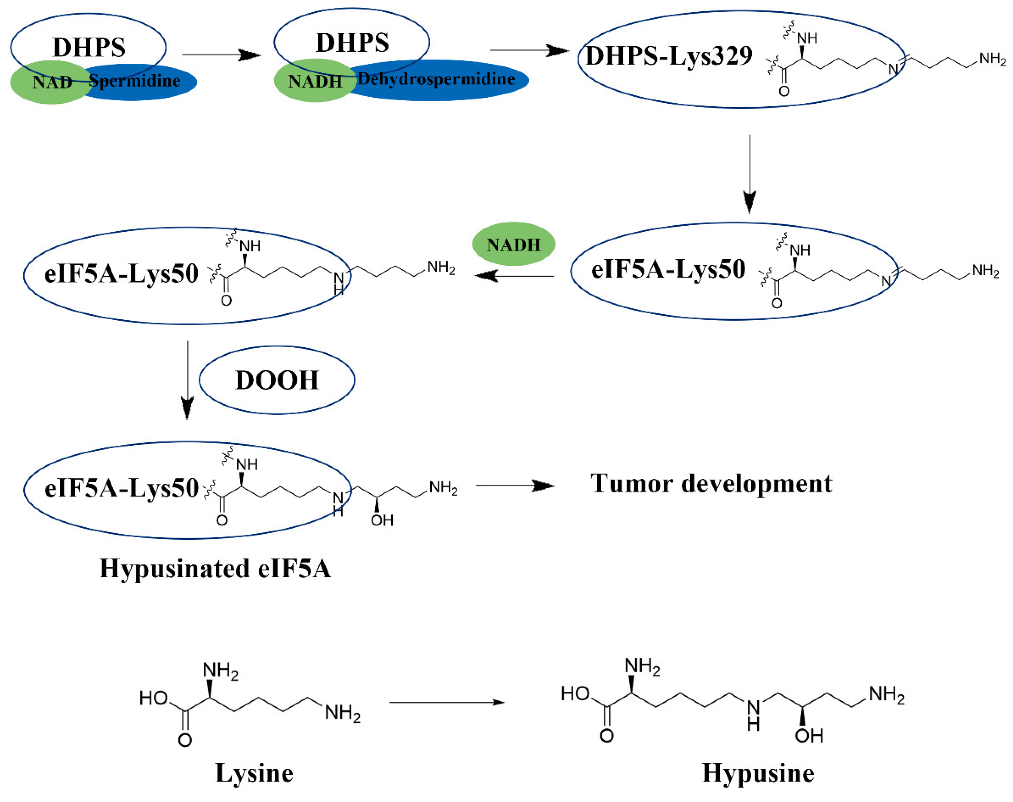 Biomolecules 16 00574 g001 Biomolecules 16 00574 g001