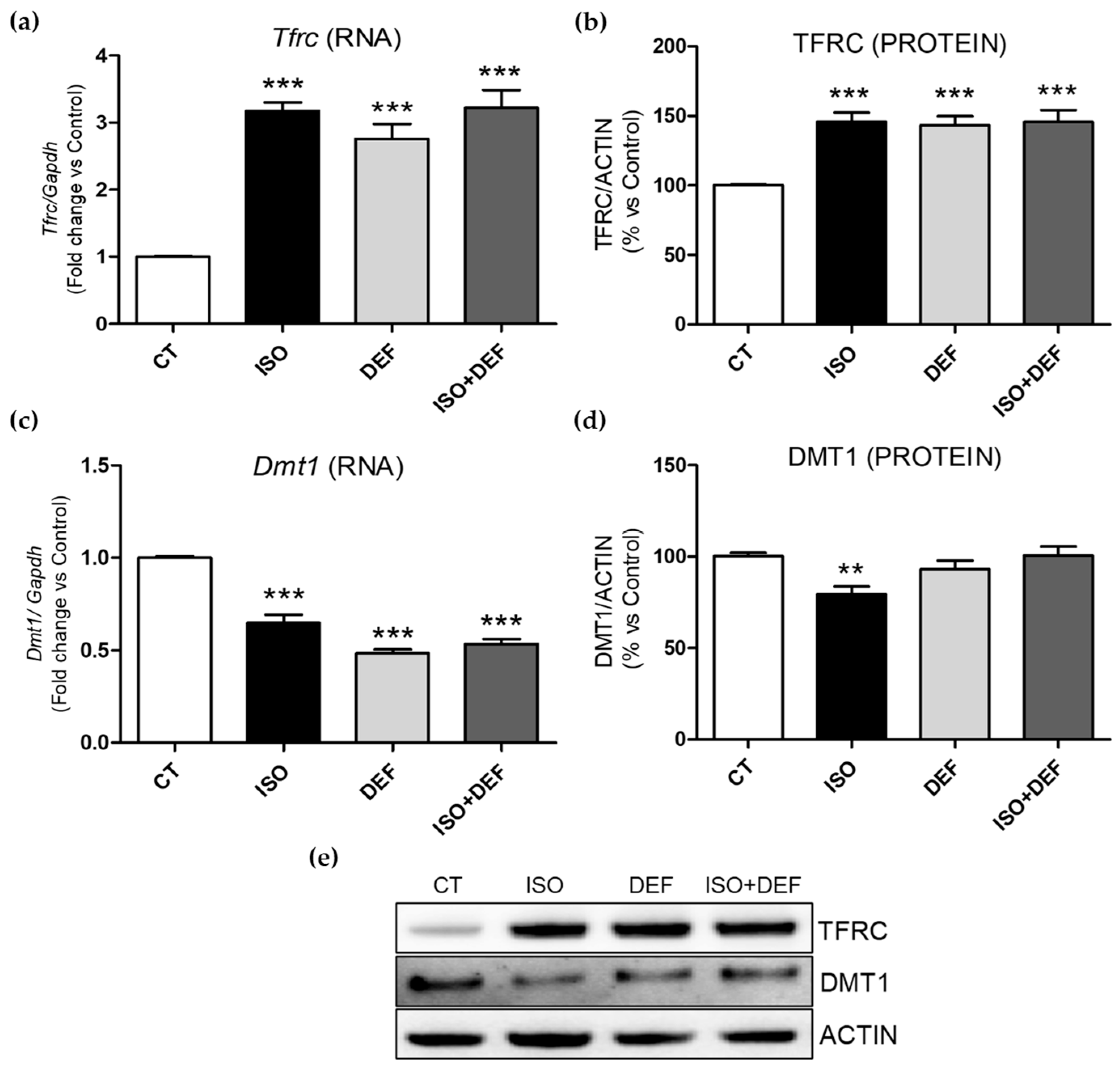 Biomolecules 16 00582 g003