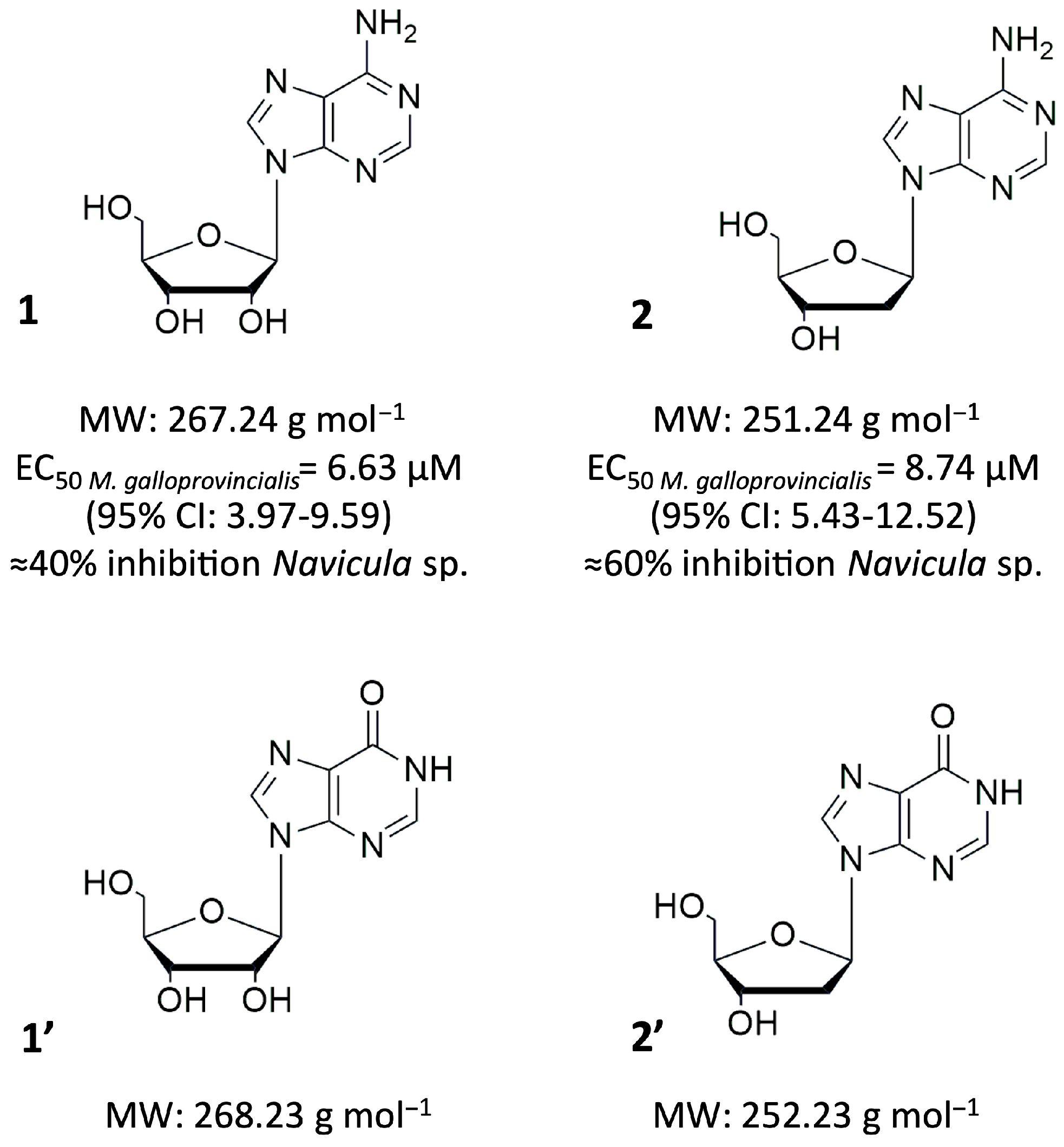 Biomolecules 16 00584 g001 Biomolecules 16 00584 g001