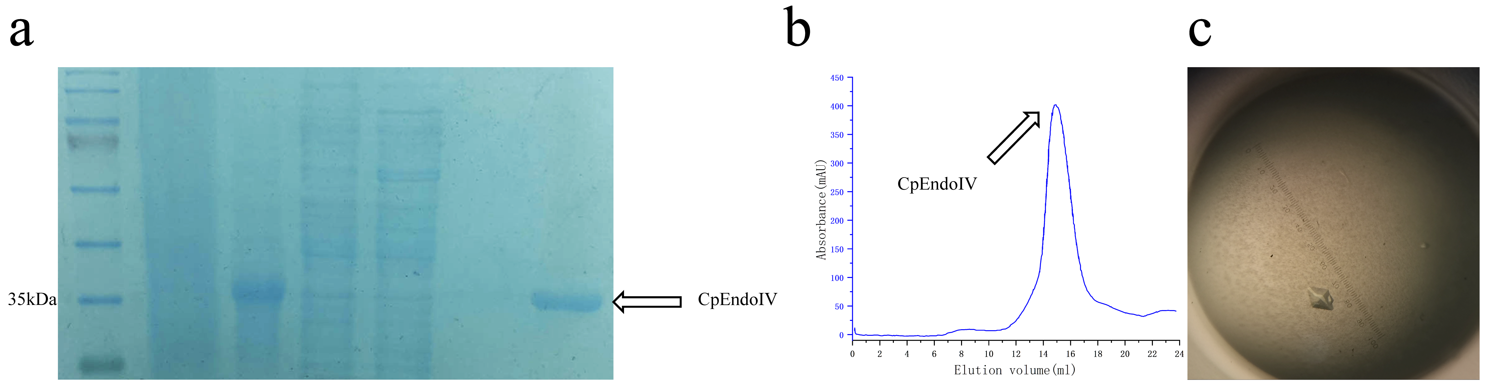 Biomolecules 16 00594 g001 Biomolecules 16 00594 g001