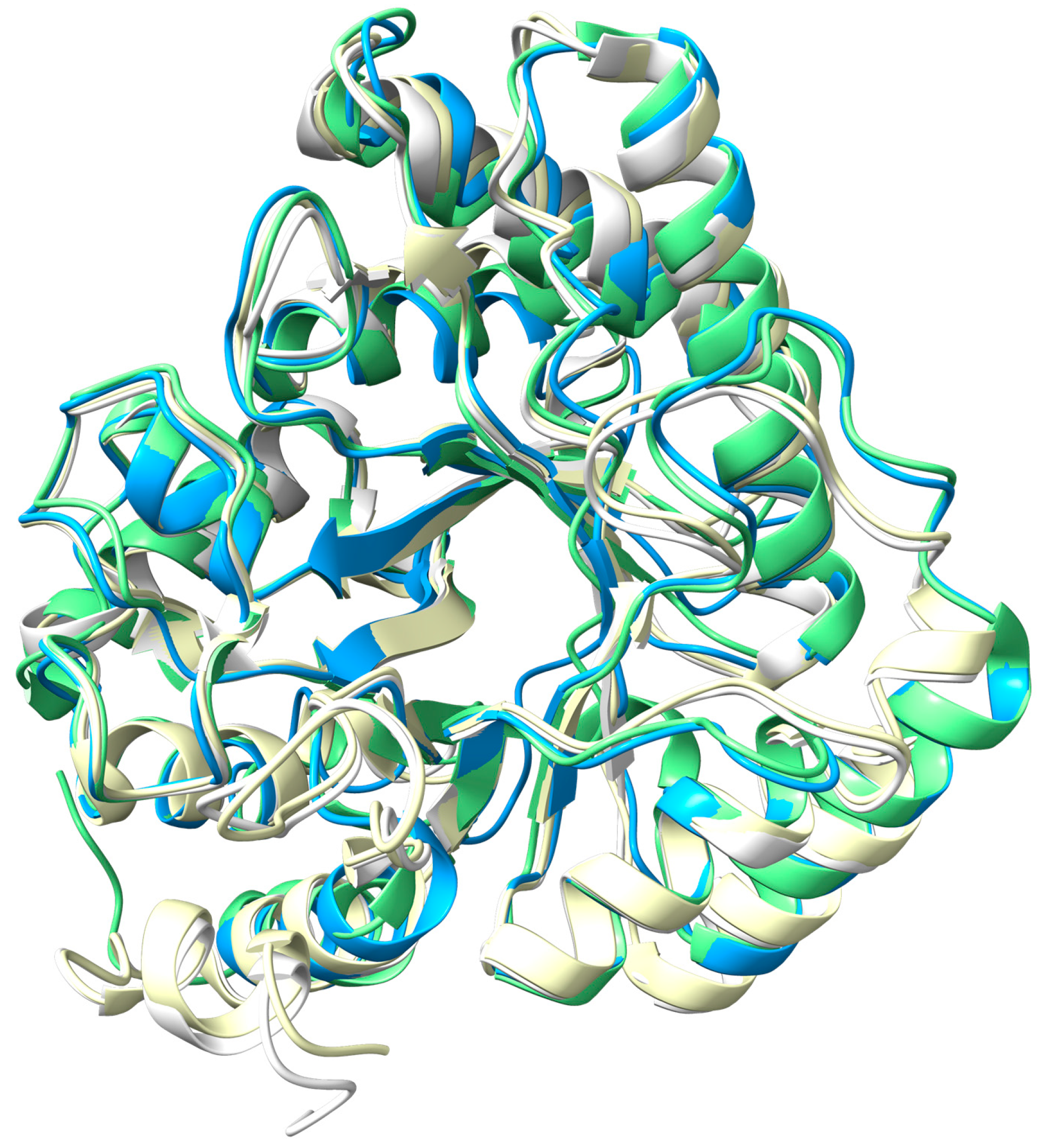 Biomolecules 16 00594 g003 Biomolecules 16 00594 g003
