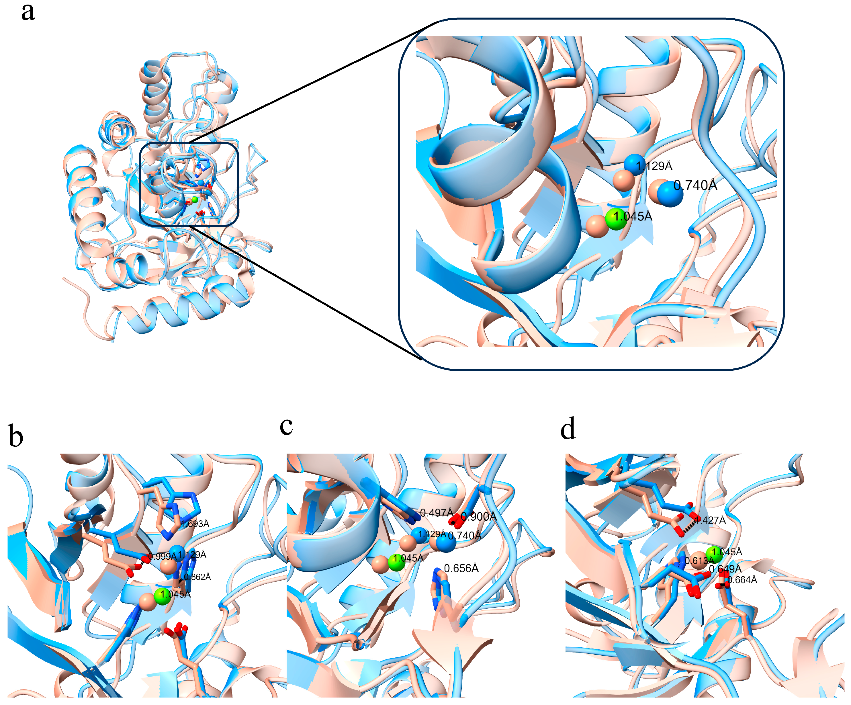 Biomolecules 16 00594 g004 Biomolecules 16 00594 g004