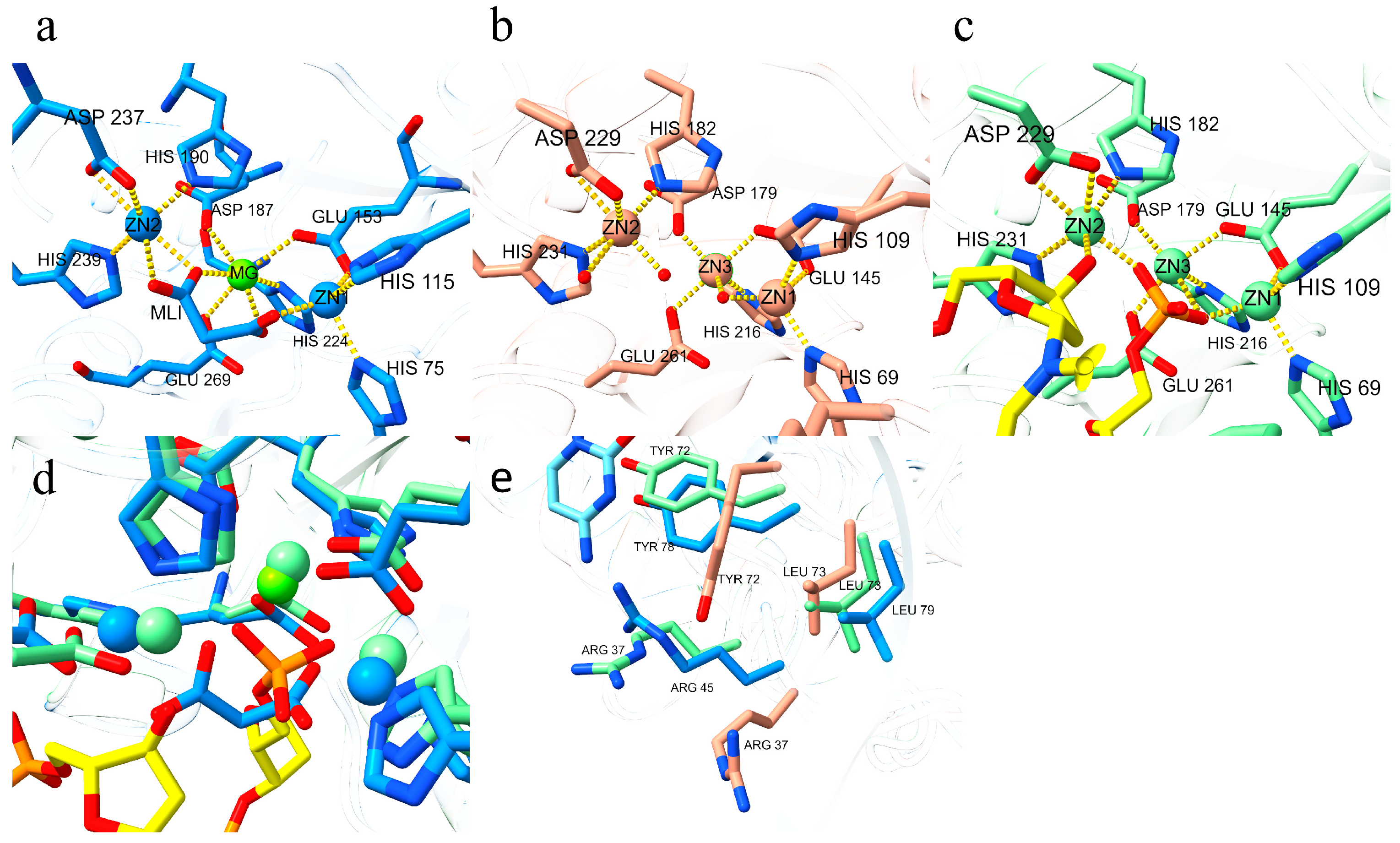 Biomolecules 16 00594 g006 Biomolecules 16 00594 g006