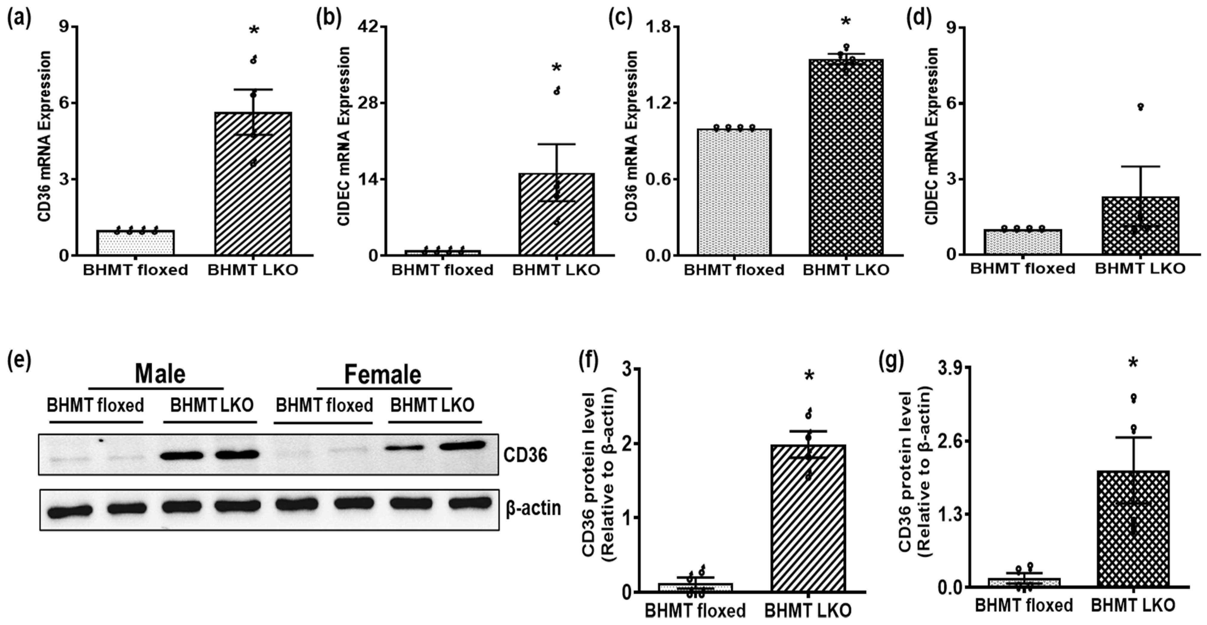 Biomolecules 16 00606 g004