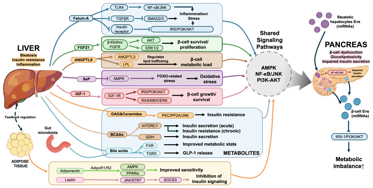 Biomolecules 16 00613 g001 Biomolecules 16 00613 g001