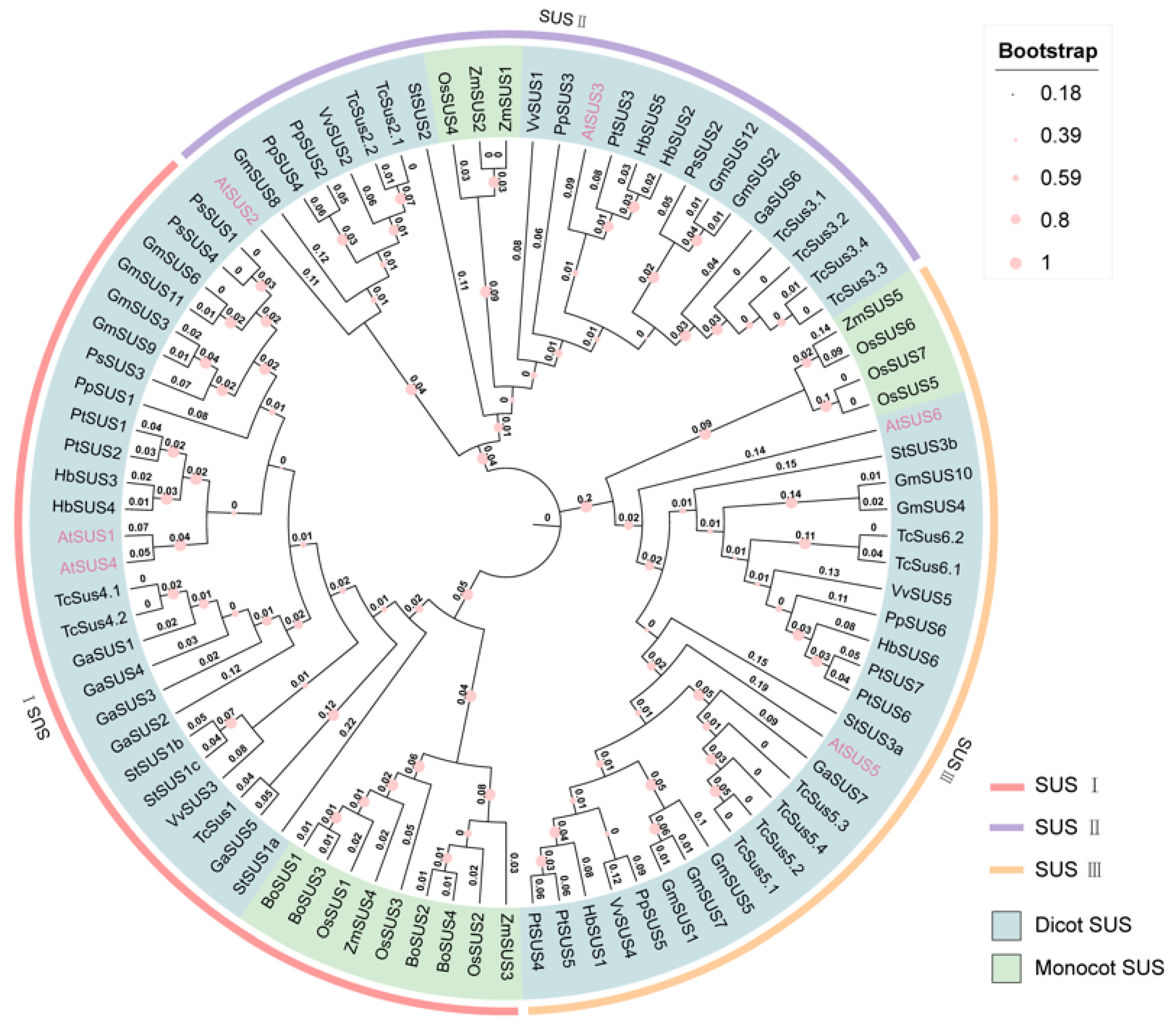 Biomolecules 16 00627 g006 Biomolecules 16 00627 g006
