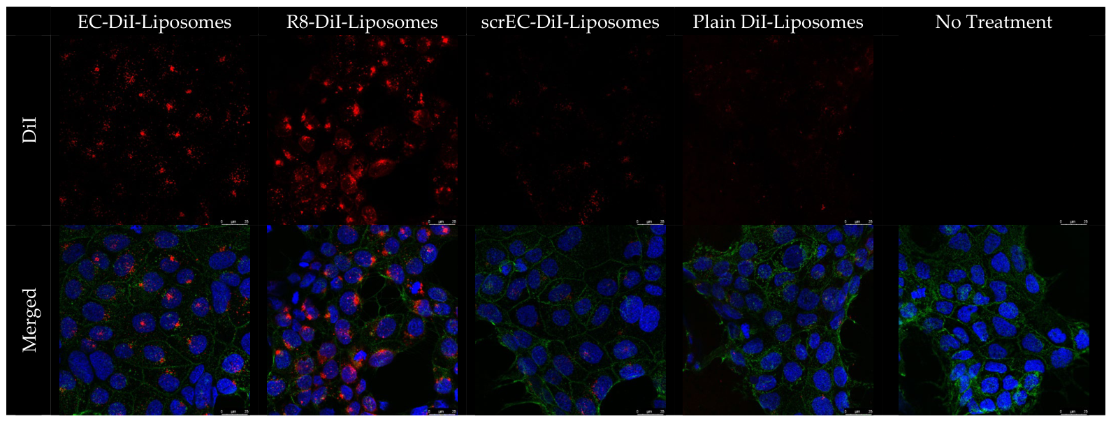 Biomolecules 16 00628 g003 Biomolecules 16 00628 g003