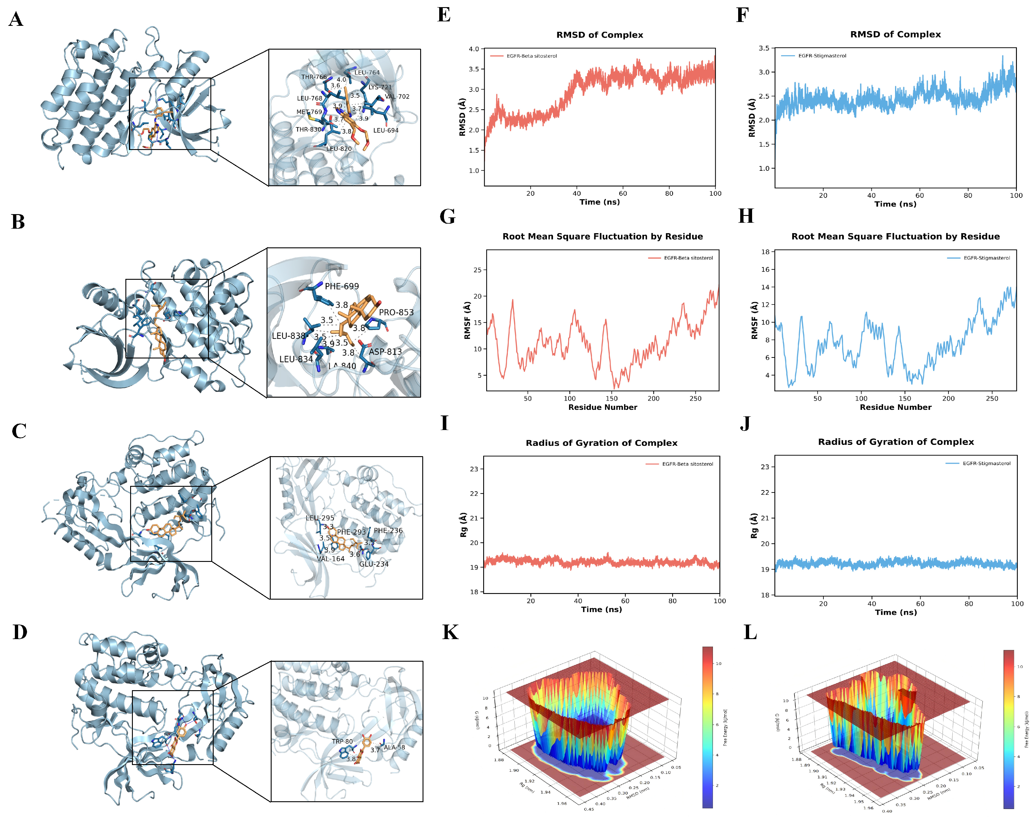 Integrated Multi-Omics Analysis Explores the Protective Effects