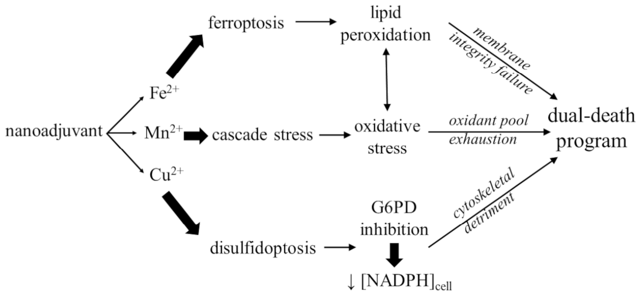 Biomolecules 16 00671 g003 Biomolecules 16 00671 g003