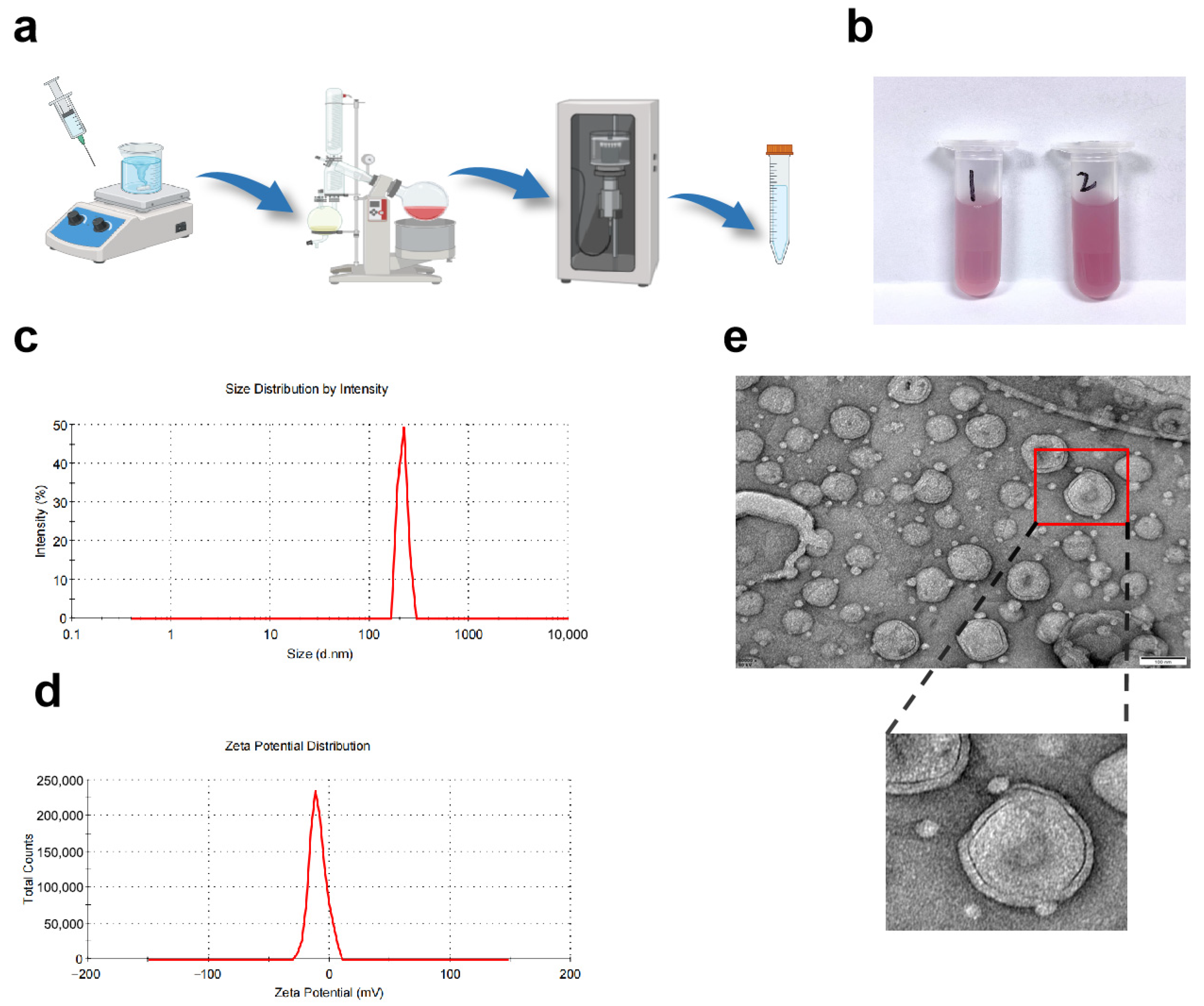 Biomolecules 16 00703 g001