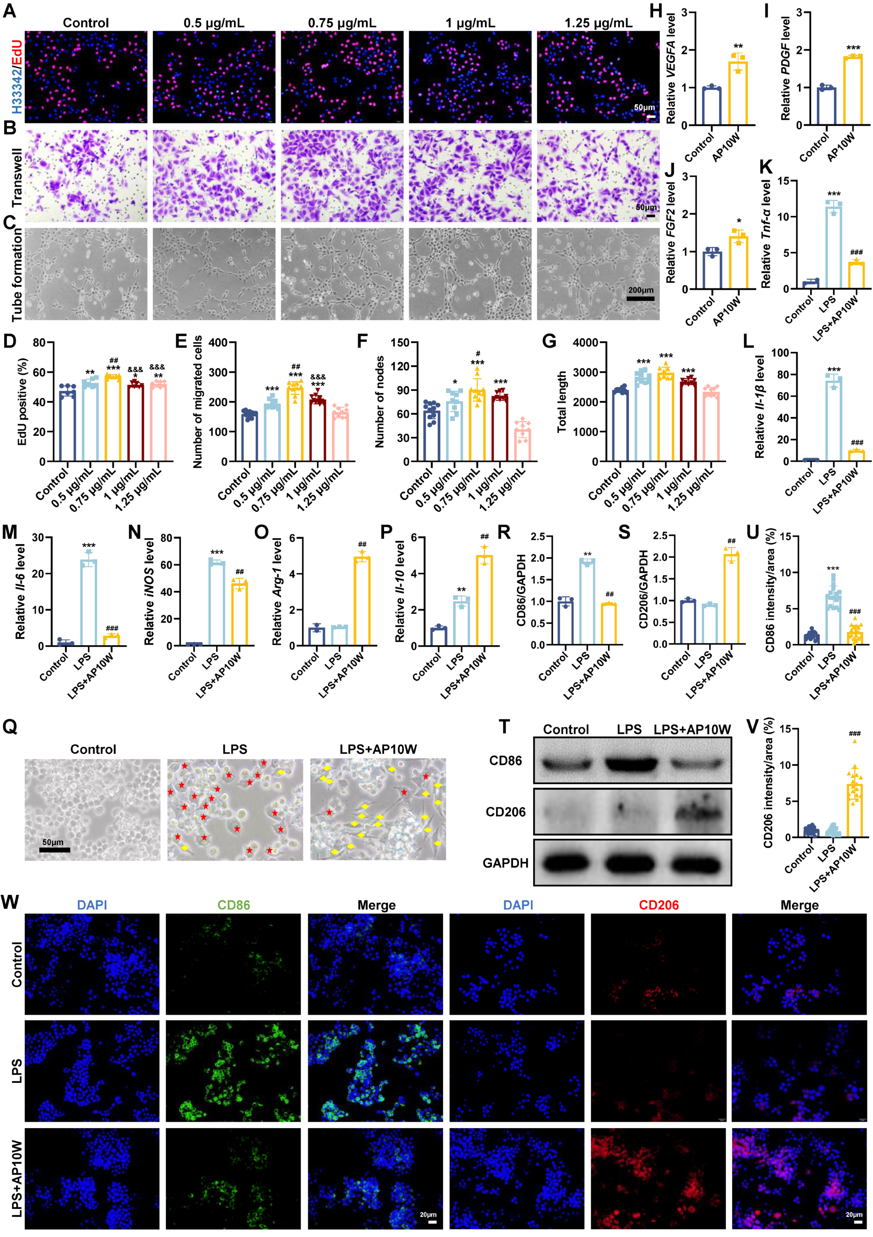 Biomolecules 16 00720 g002