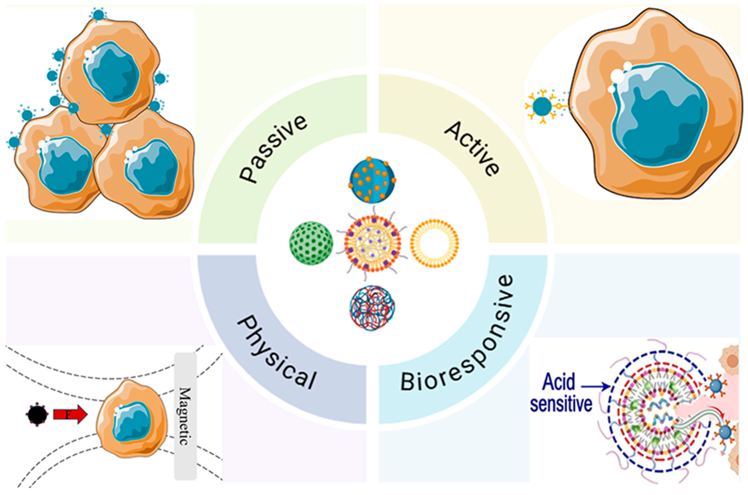 Biomolecules 16 00722 g001
