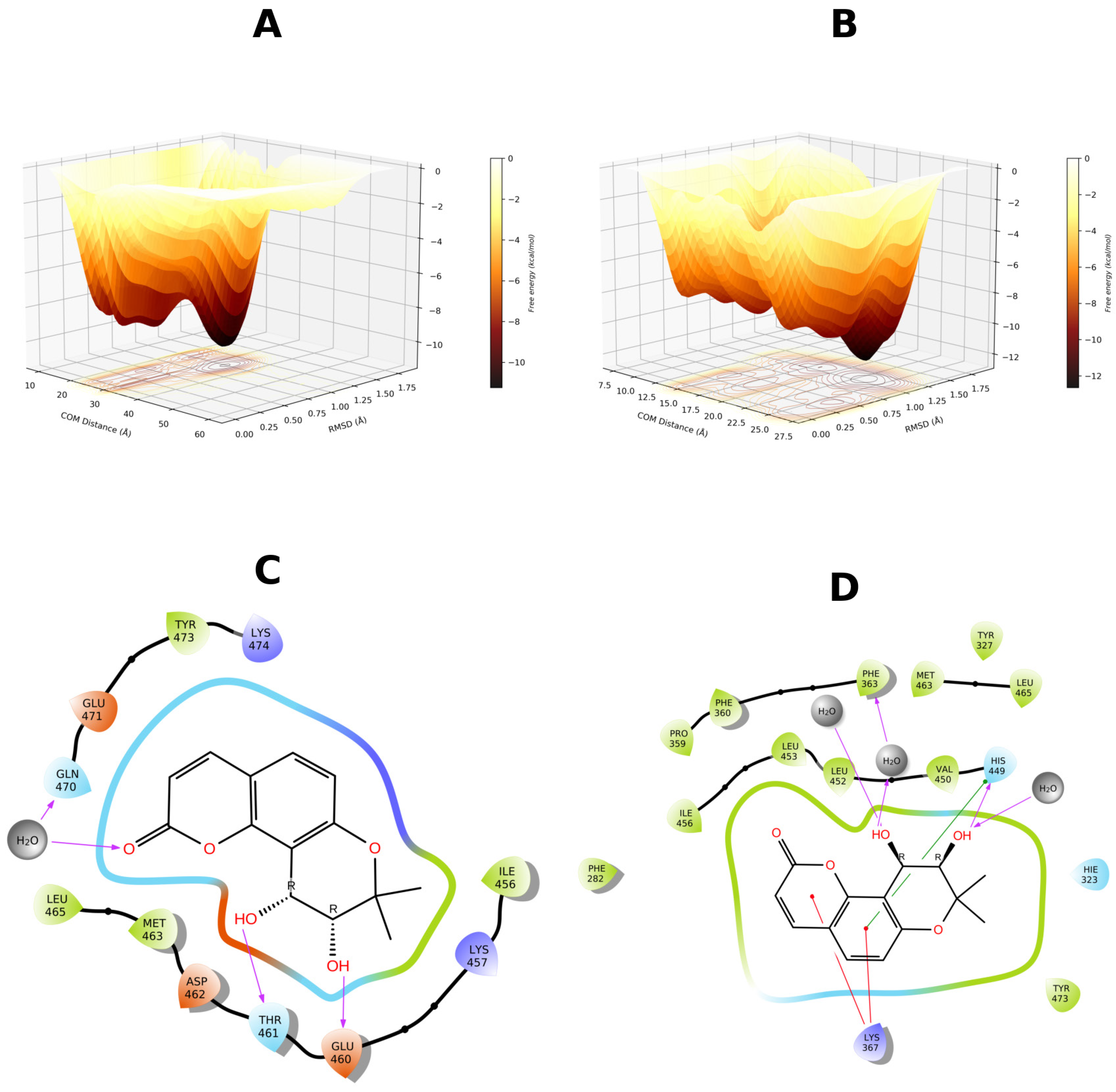 Biomolecules 16 00724 g011