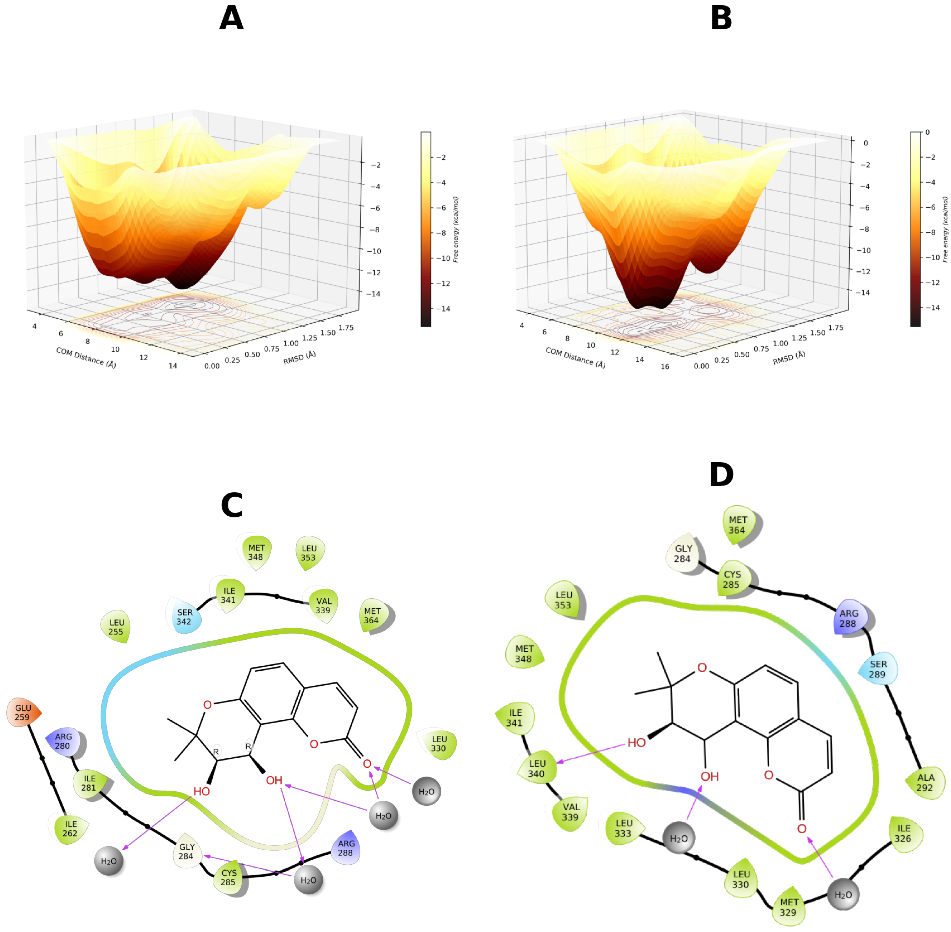 Biomolecules 16 00724 g012