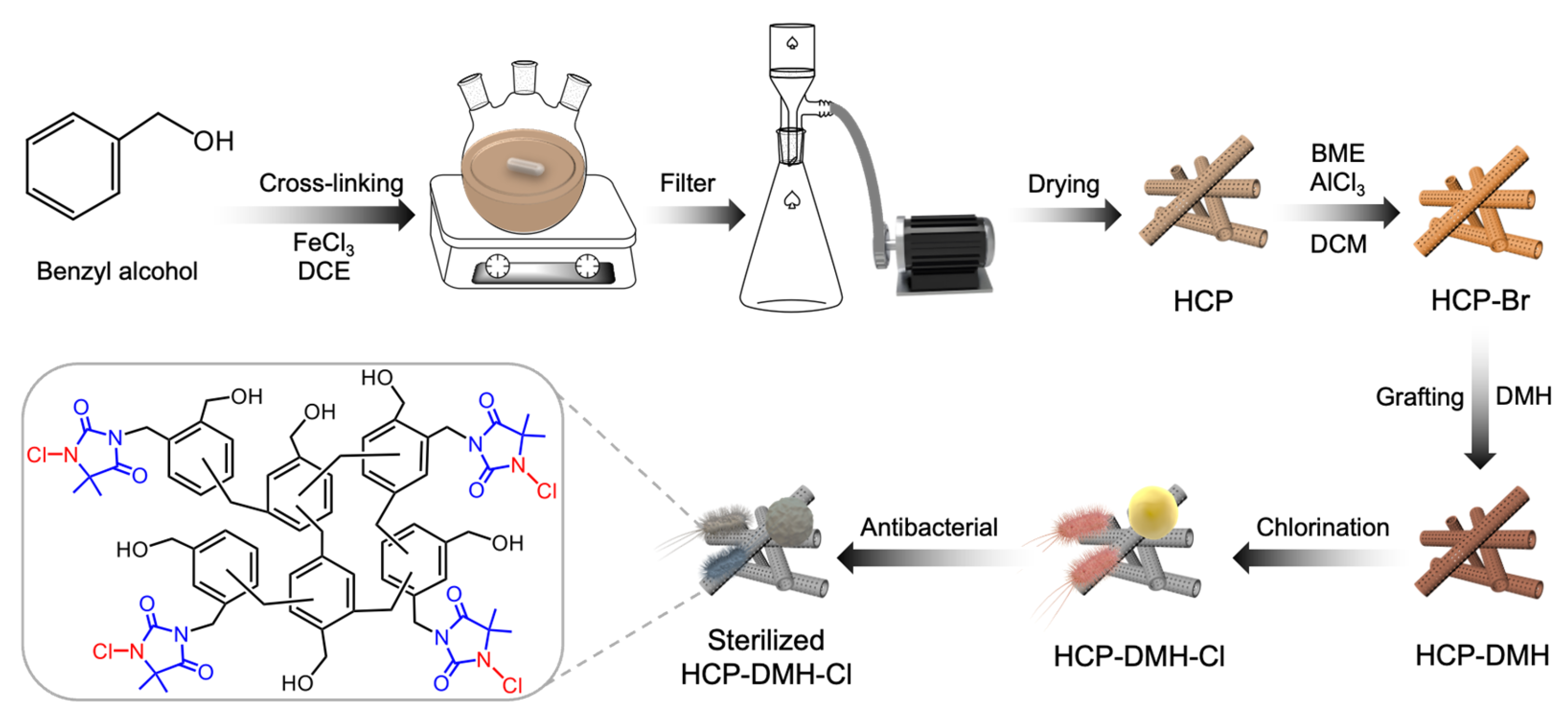 Biomolecules 16 00725 g001 Biomolecules 16 00725 g001