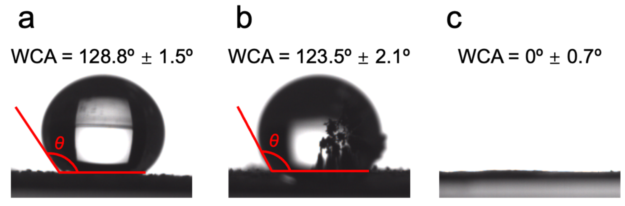 Biomolecules 16 00725 g006 Biomolecules 16 00725 g006
