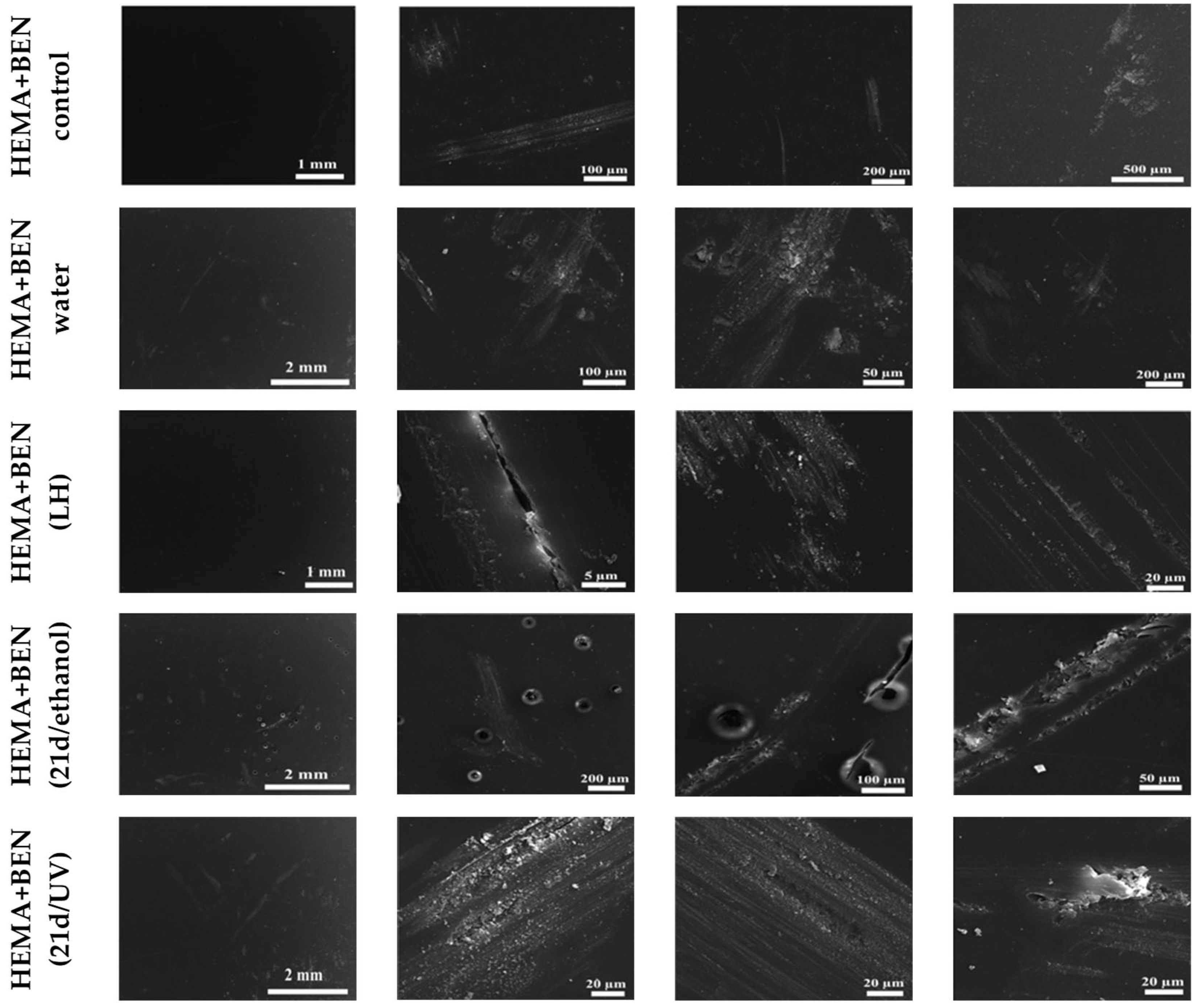 Biomolecules 16 00731 g001