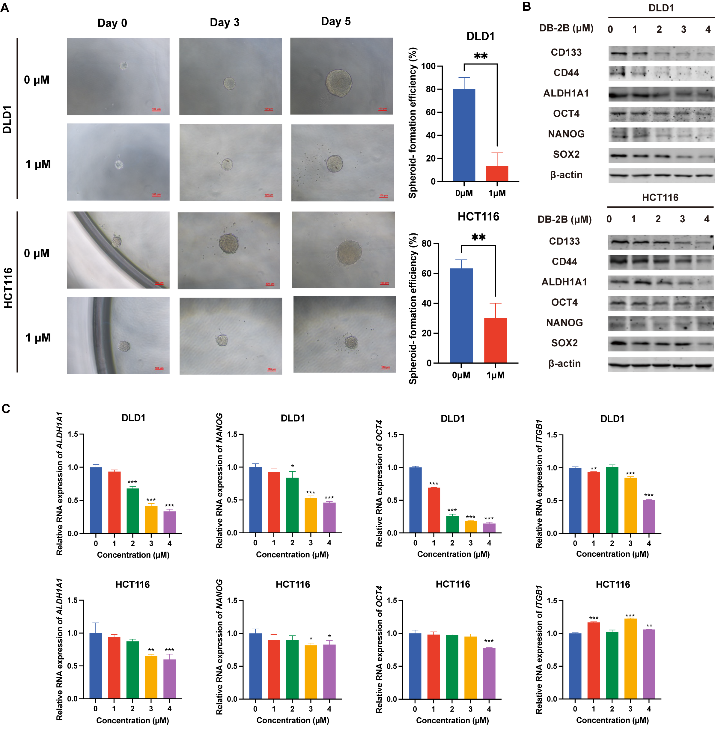 Biomolecules 16 00752 g005 Biomolecules 16 00752 g005