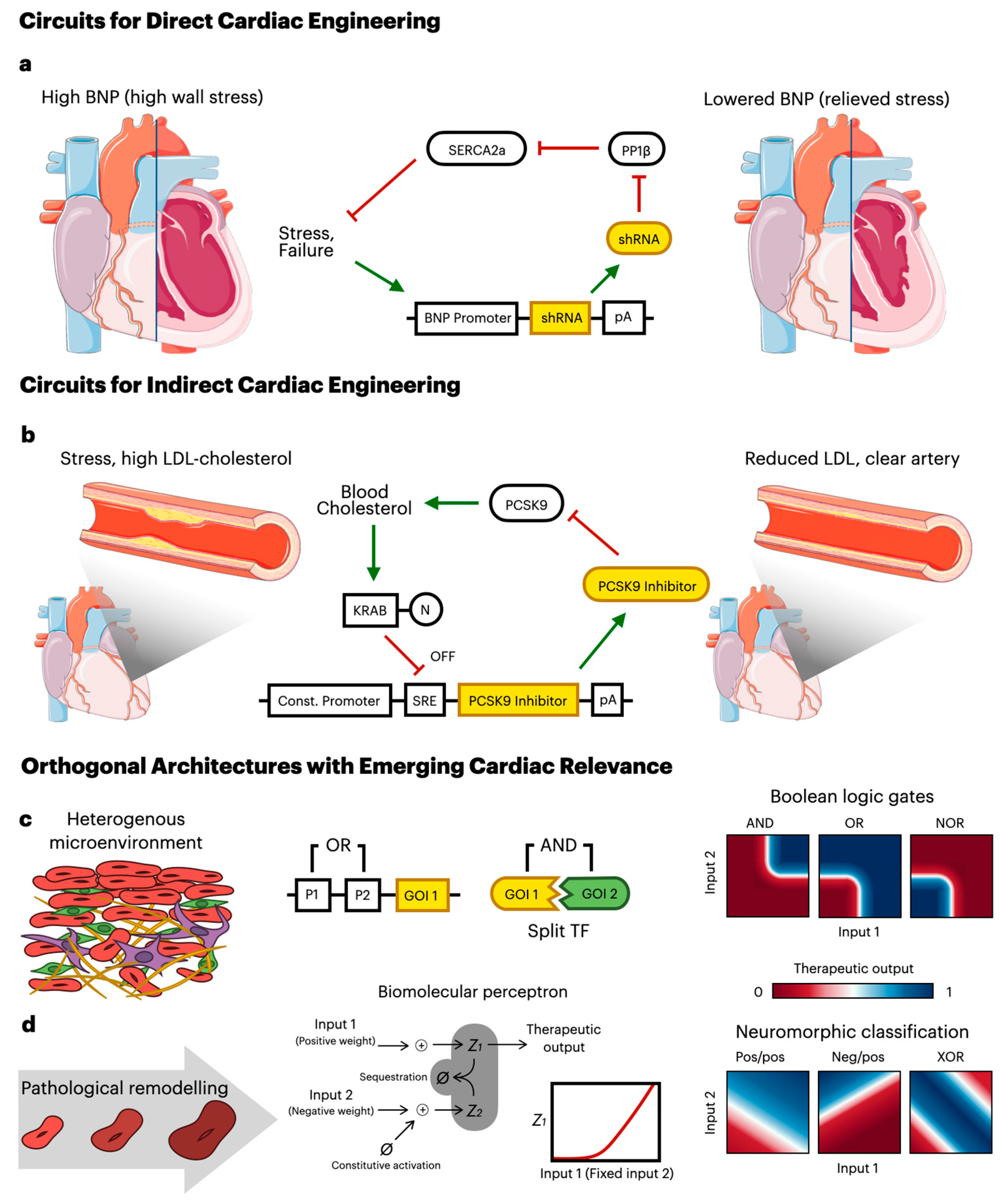 Biomolecules 16 00754 g001 Biomolecules 16 00754 g001