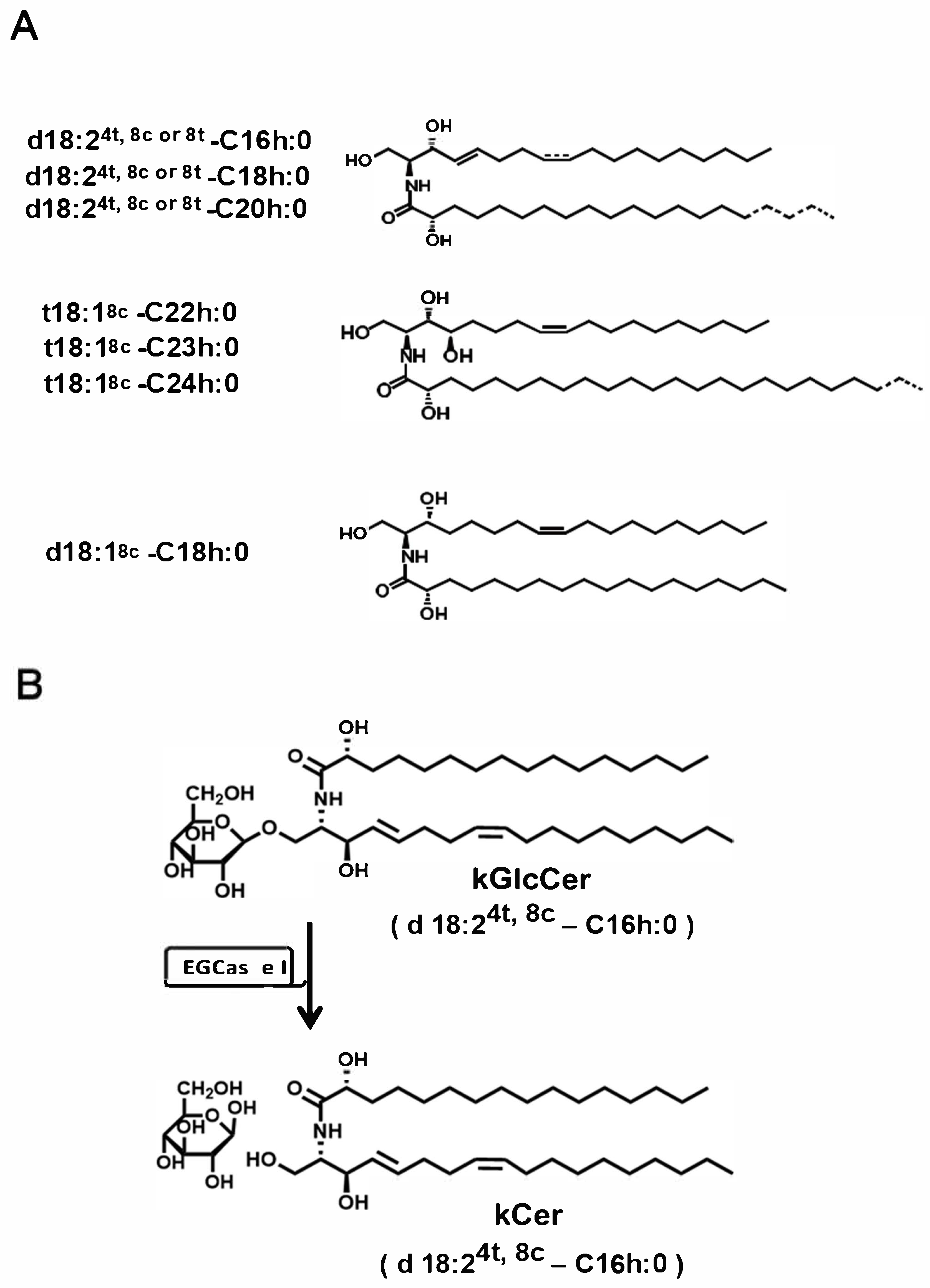 Biomolecules 16 00755 g001 Biomolecules 16 00755 g001