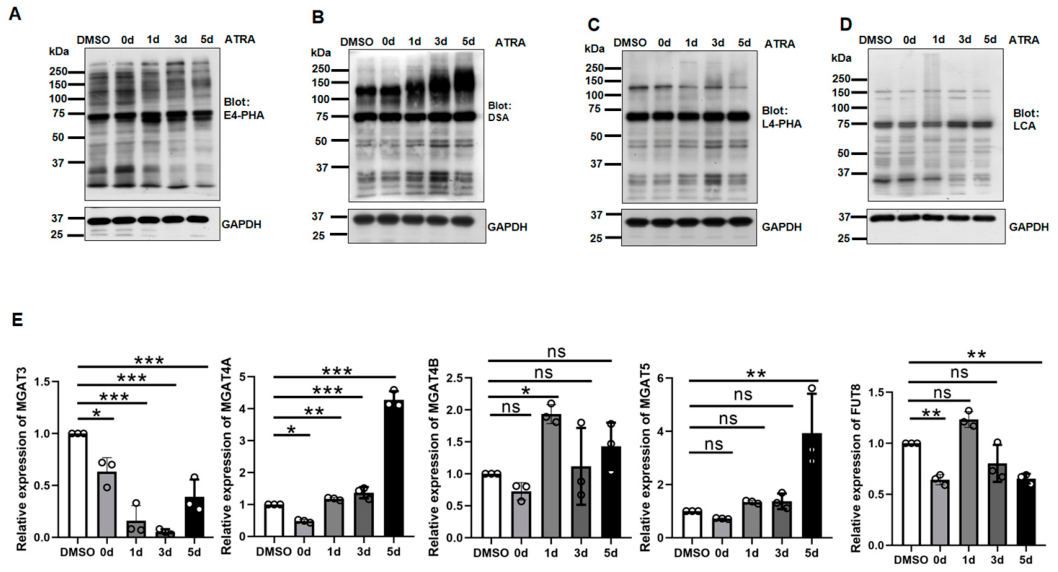 Biomolecules 16 00756 g002 Biomolecules 16 00756 g002